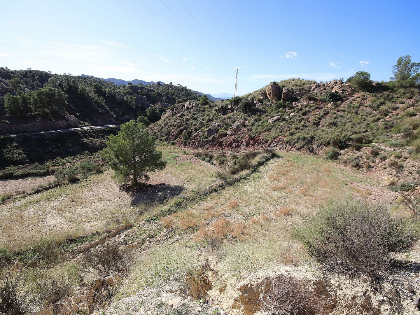 Land in Abanilla