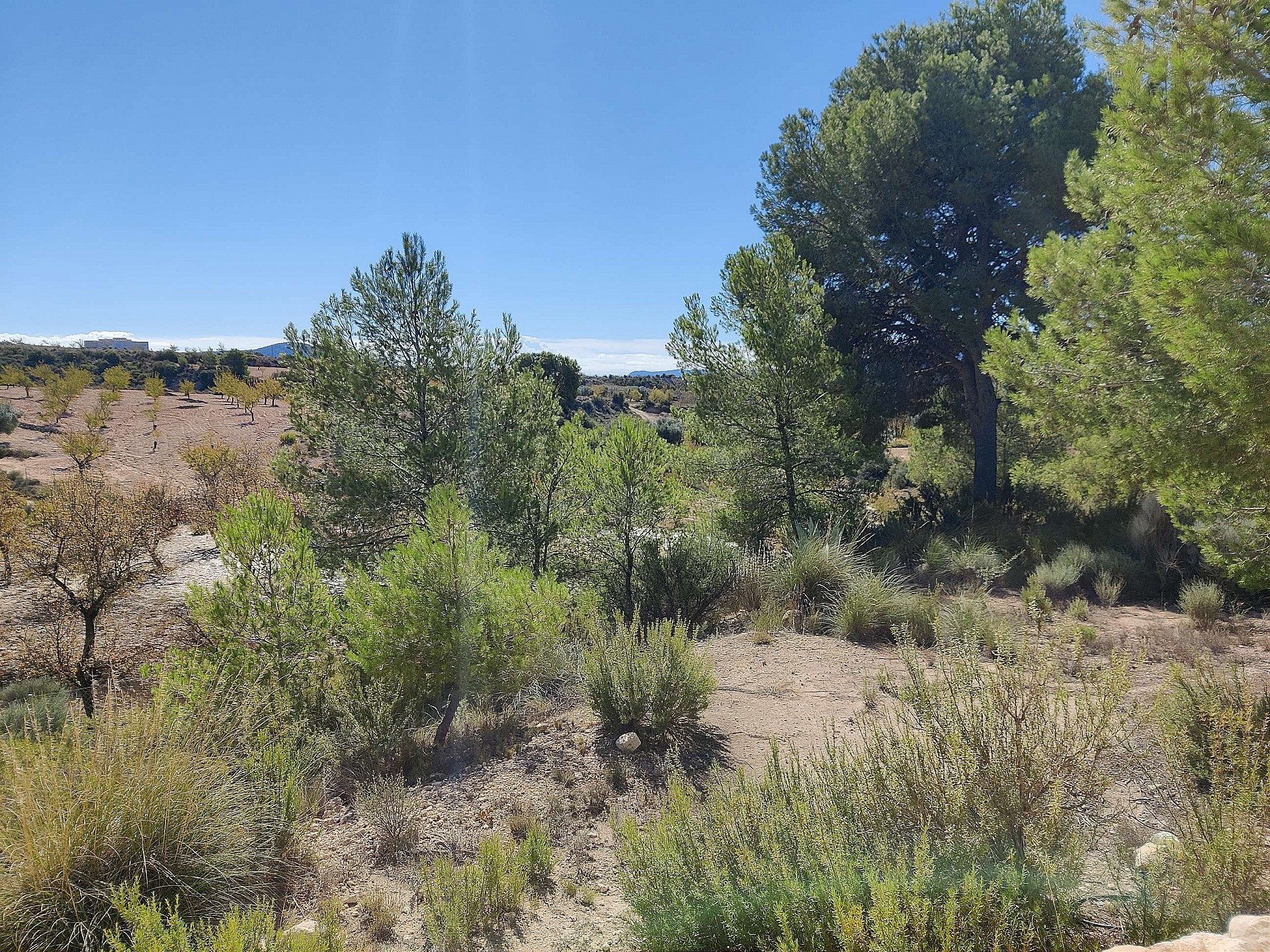 Resale - 2 Bedroom 1 Bathroom Country house in Monovar - - Alicante Resale - 2 Bedroom 1 Bathroom Country house in Monovar - - Alicante