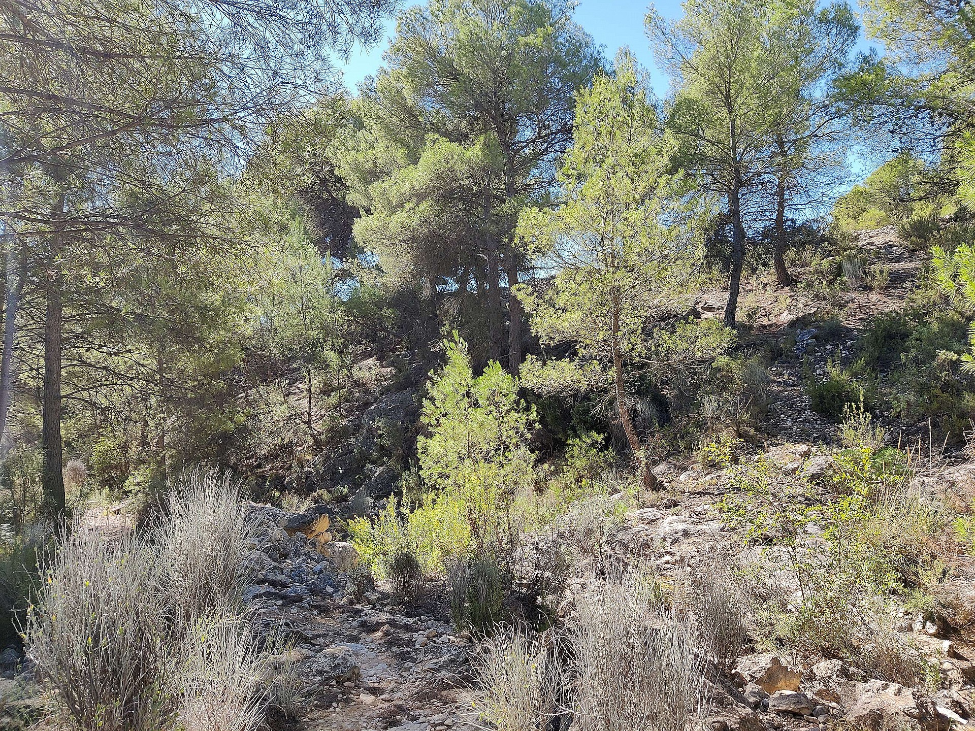 Resale - 2 Bedroom 1 Bathroom Country house in Monovar - - Alicante Resale - 2 Bedroom 1 Bathroom Country house in Monovar - - Alicante