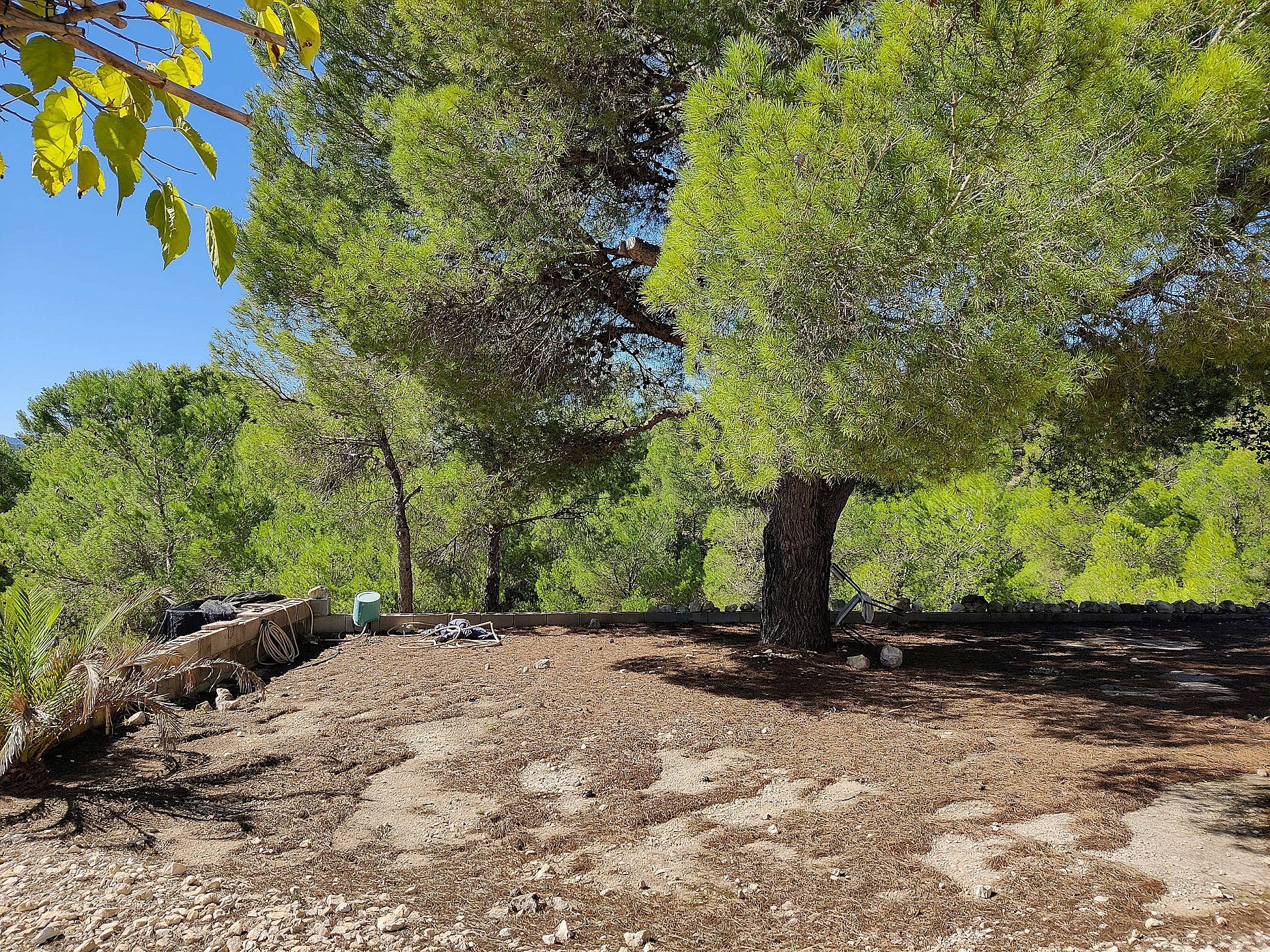 Resale - 2 Bedroom 1 Bathroom Country house in Monovar - - Alicante Resale - 2 Bedroom 1 Bathroom Country house in Monovar - - Alicante