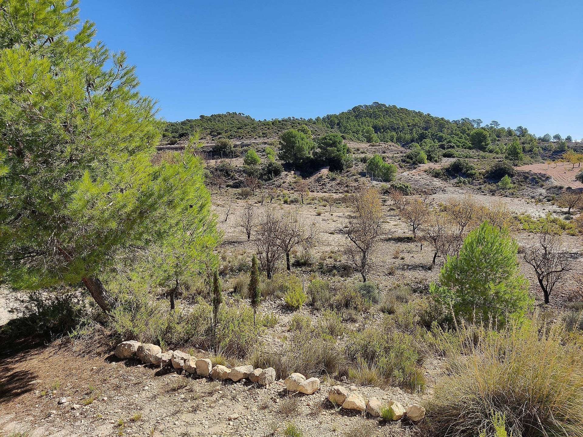 Resale - 2 Bedroom 1 Bathroom Country house in Monovar - - Alicante Resale - 2 Bedroom 1 Bathroom Country house in Monovar - - Alicante