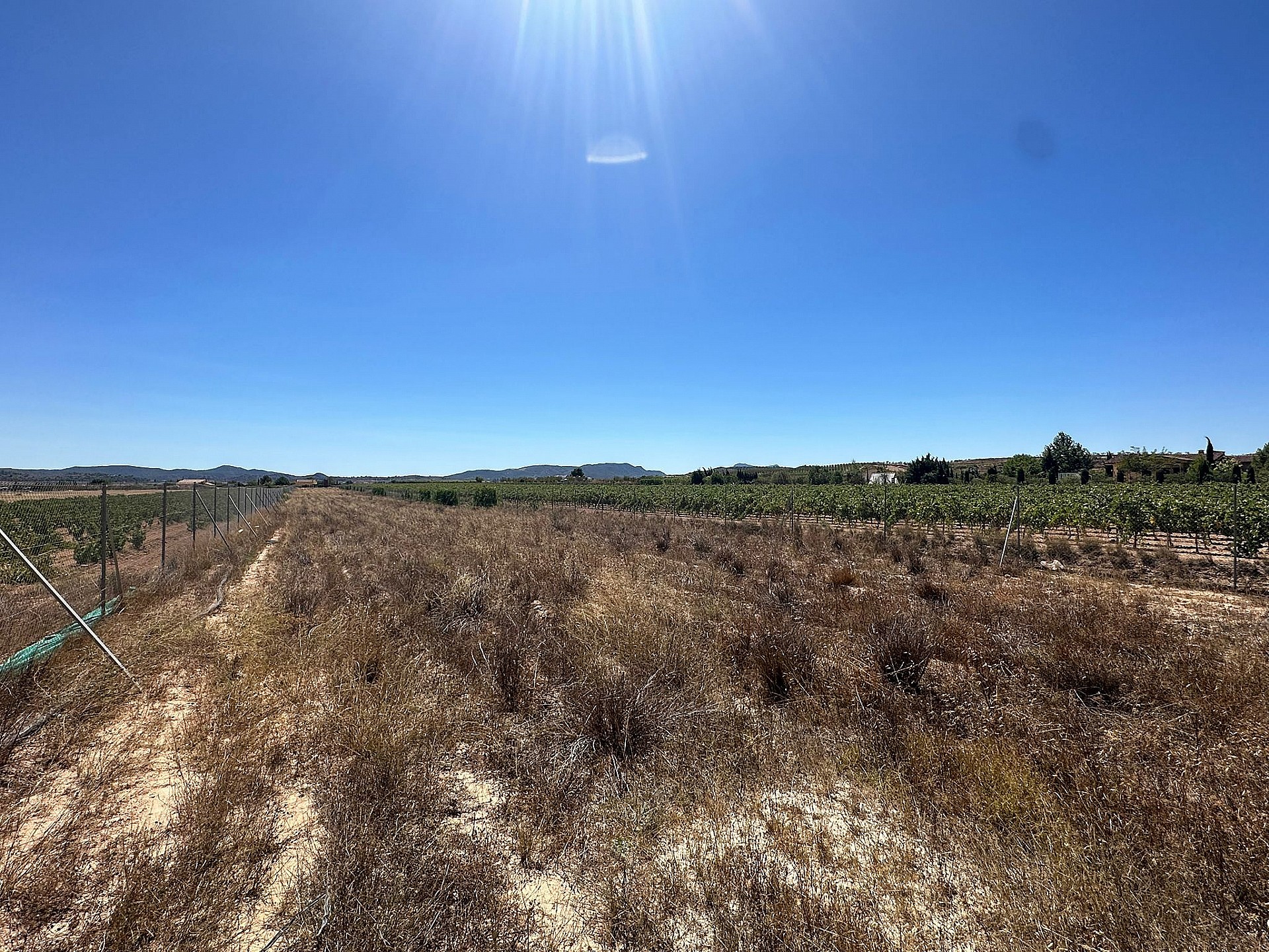 Resale - Land in Pinoso - - Alicante Resale - Land in Pinoso - - Alicante