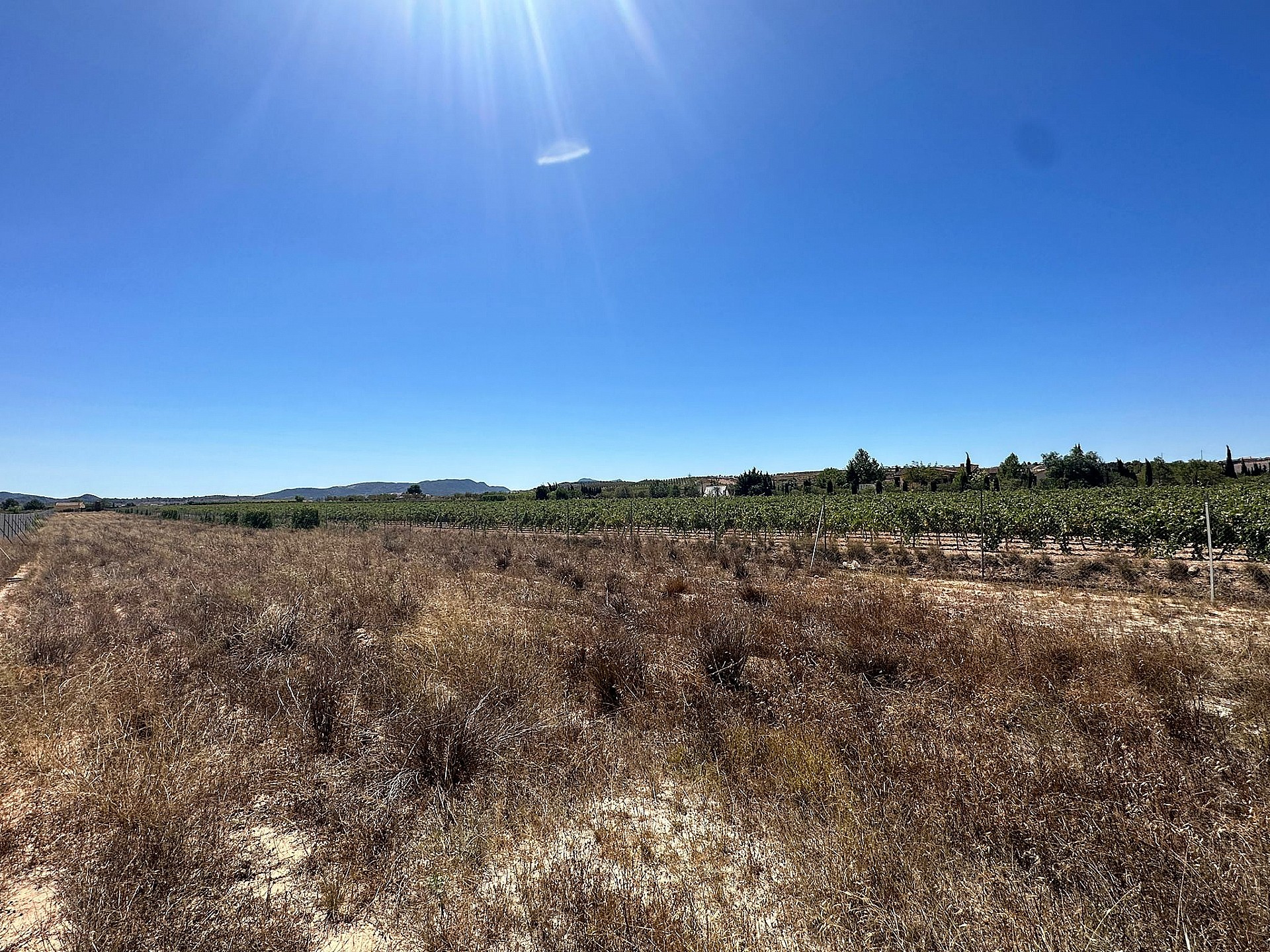 Resale - Land in Pinoso - - Alicante Resale - Land in Pinoso - - Alicante