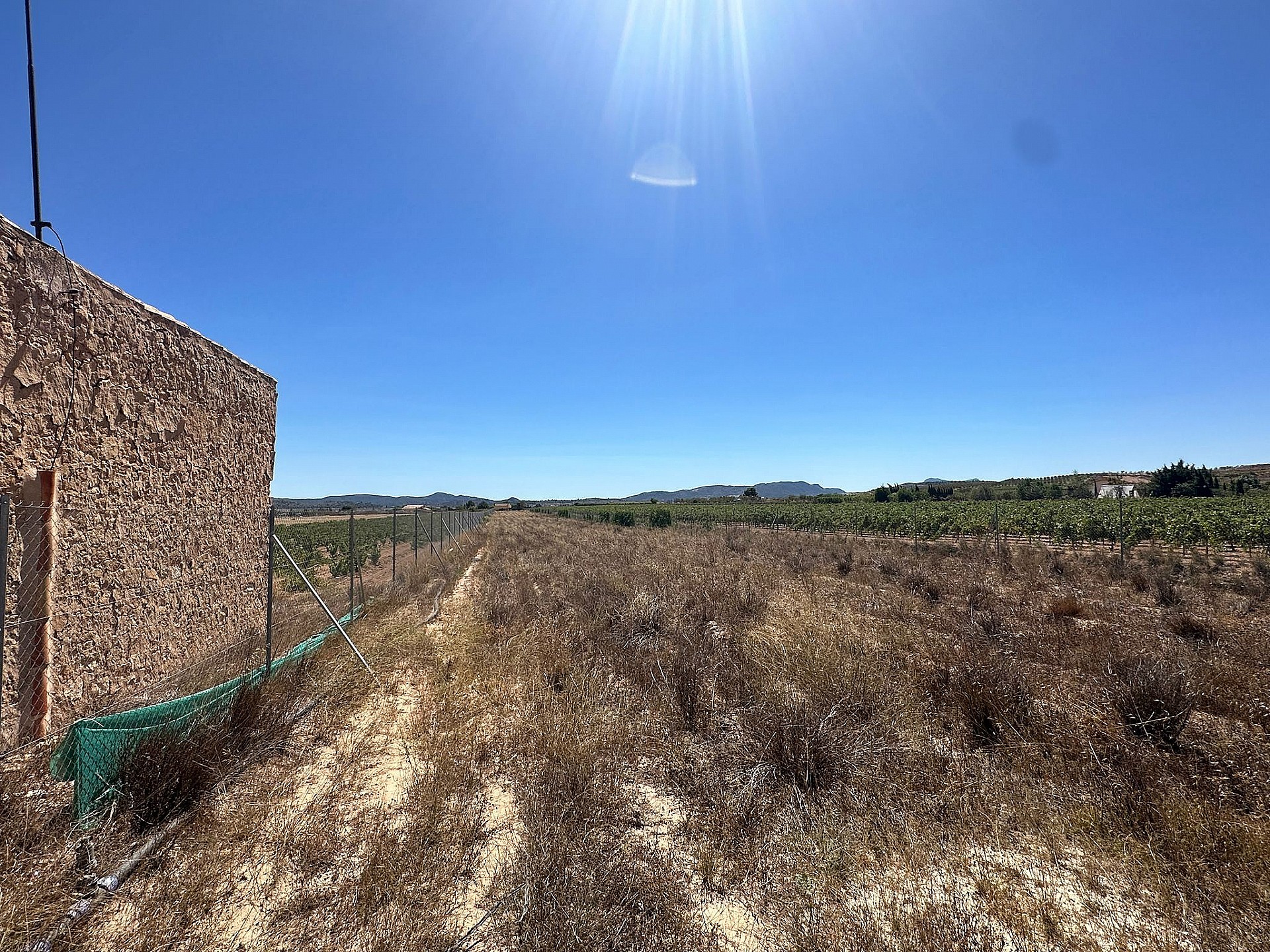 Resale - Land in Pinoso - - Alicante Resale - Land in Pinoso - - Alicante