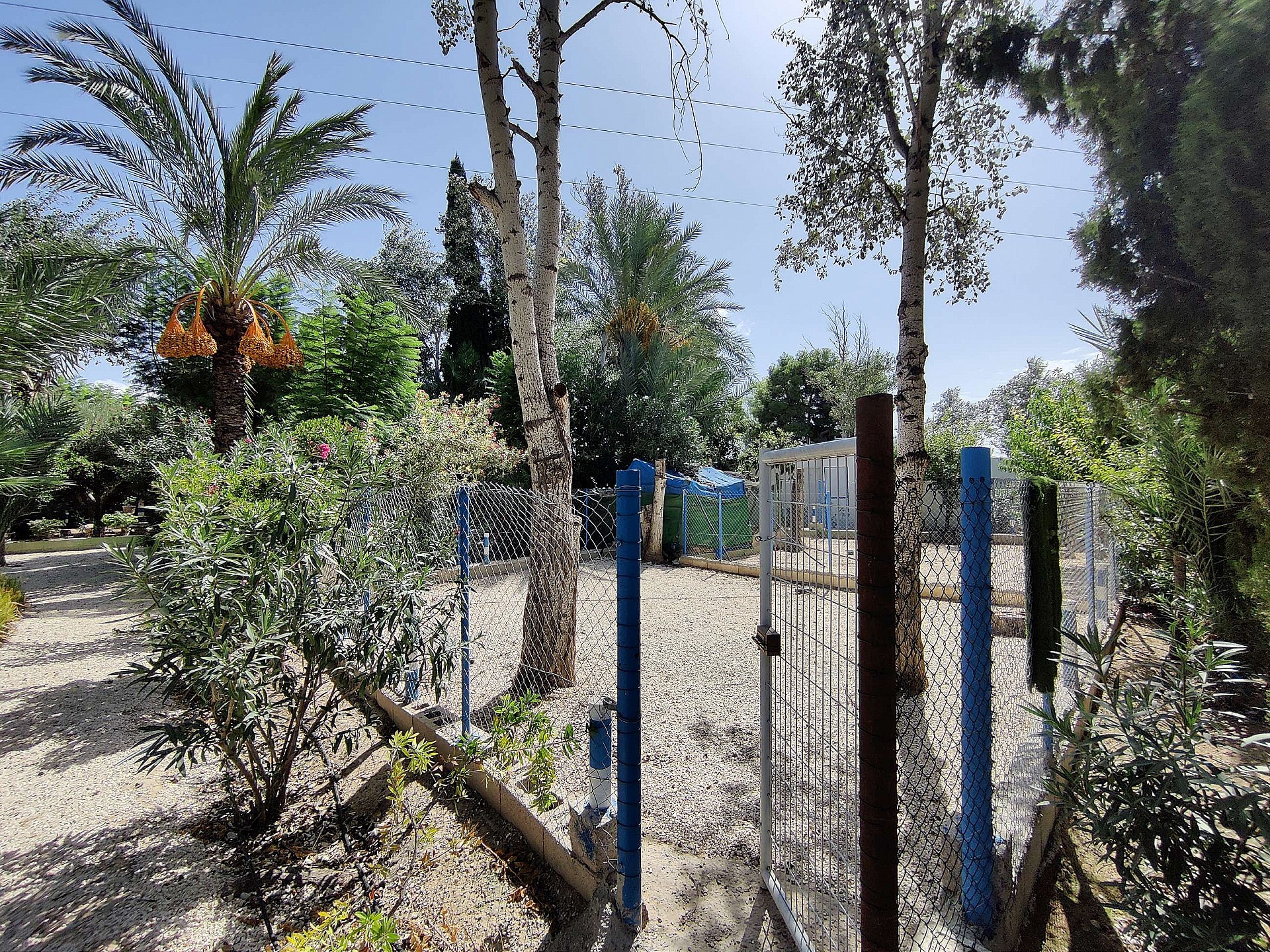 Resale - 3 Bedroom 2 Bathroom Country house in Crevillente - - Alicante Resale - 3 Bedroom 2 Bathroom Country house in Crevillente - - Alicante