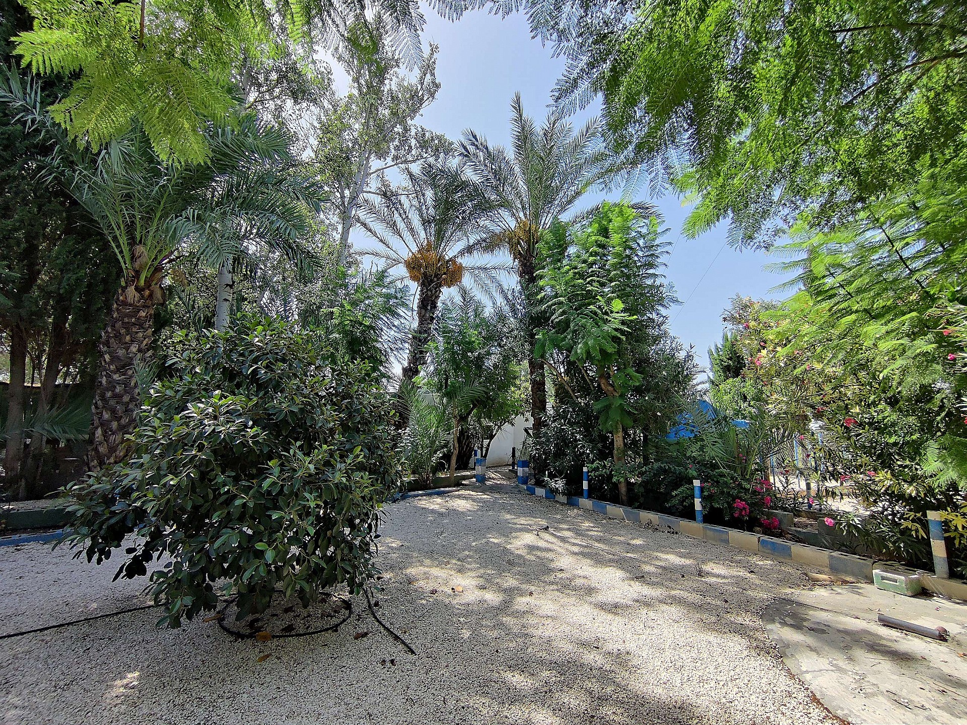 Resale - 3 Bedroom 2 Bathroom Country house in Crevillente - - Alicante Resale - 3 Bedroom 2 Bathroom Country house in Crevillente - - Alicante
