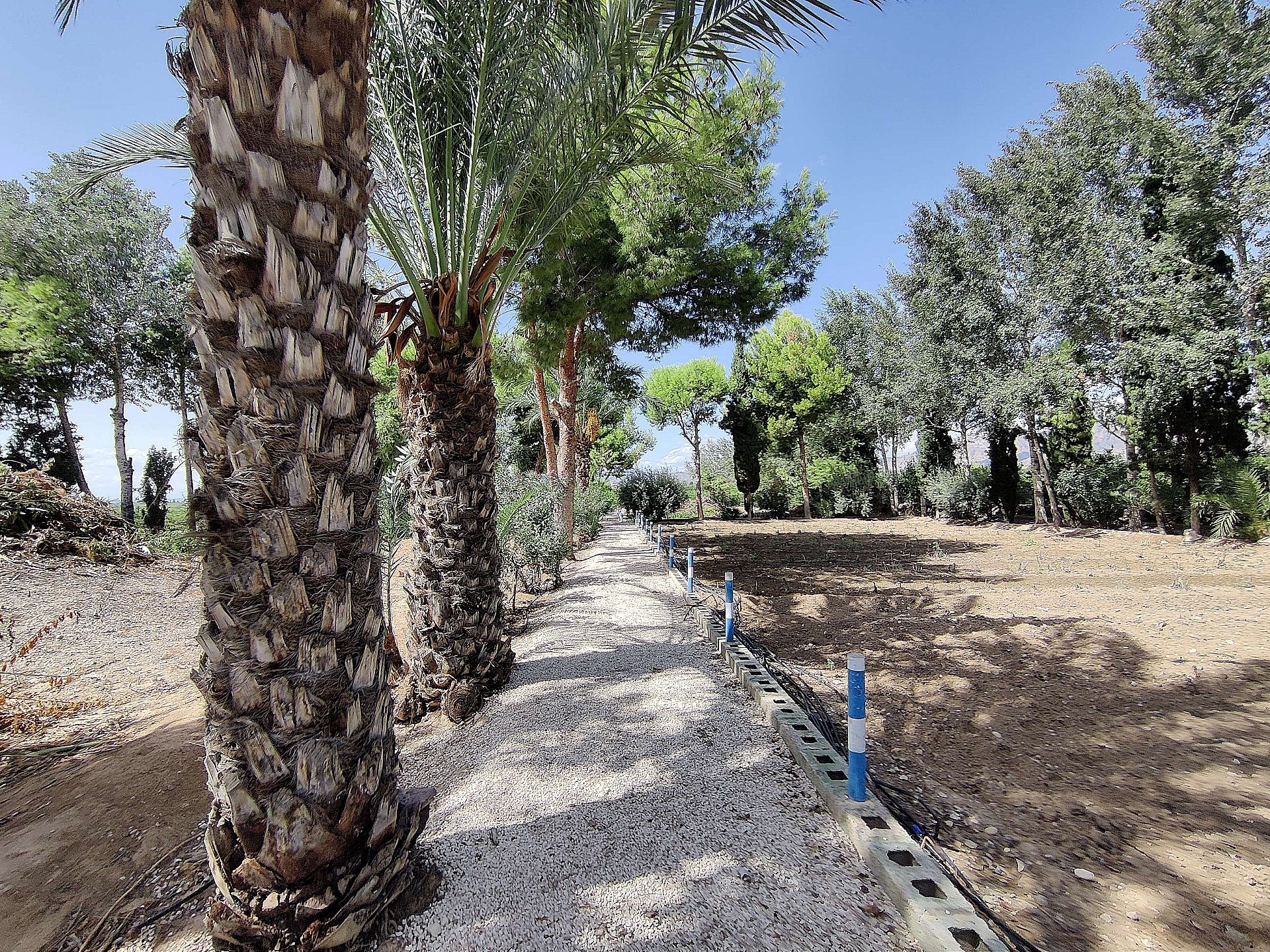Resale - 3 Bedroom 2 Bathroom Country house in Crevillente - - Alicante Resale - 3 Bedroom 2 Bathroom Country house in Crevillente - - Alicante