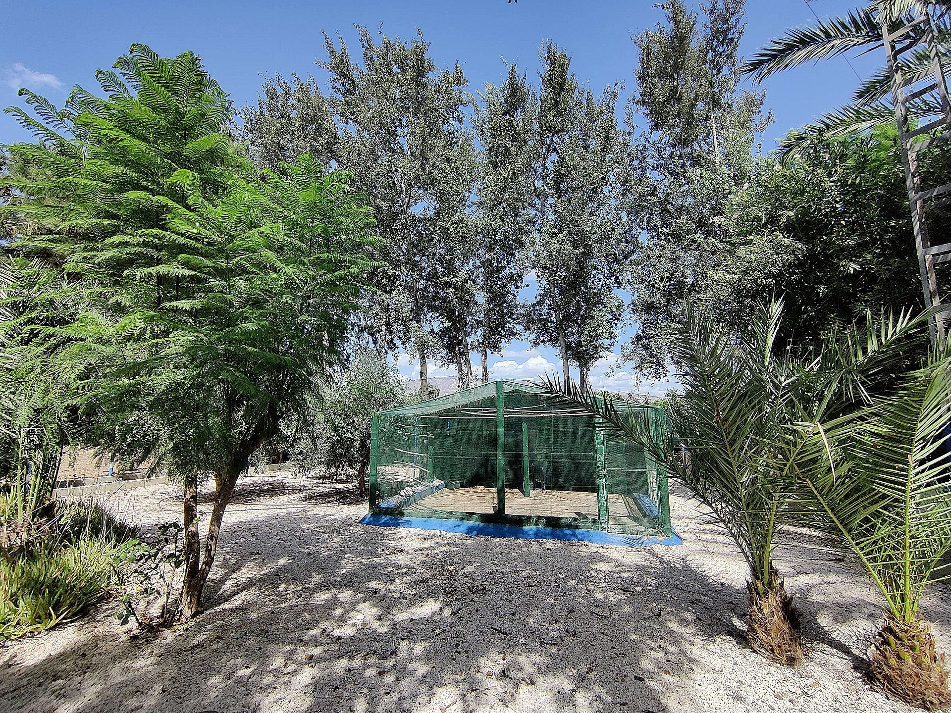 Resale - 3 Bedroom 2 Bathroom Country house in Crevillente - - Alicante Resale - 3 Bedroom 2 Bathroom Country house in Crevillente - - Alicante