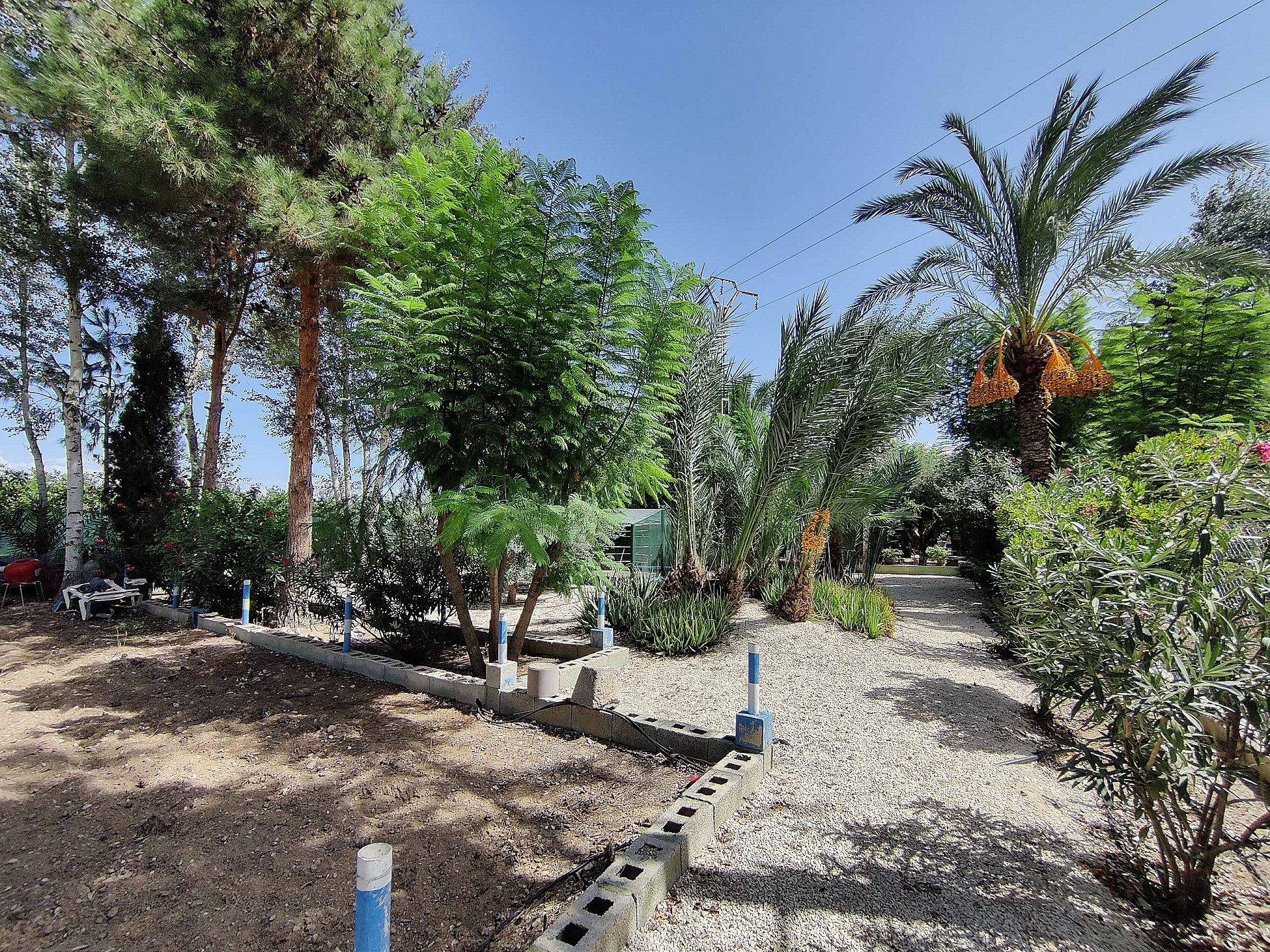 Resale - 3 Bedroom 2 Bathroom Country house in Crevillente - - Alicante Resale - 3 Bedroom 2 Bathroom Country house in Crevillente - - Alicante