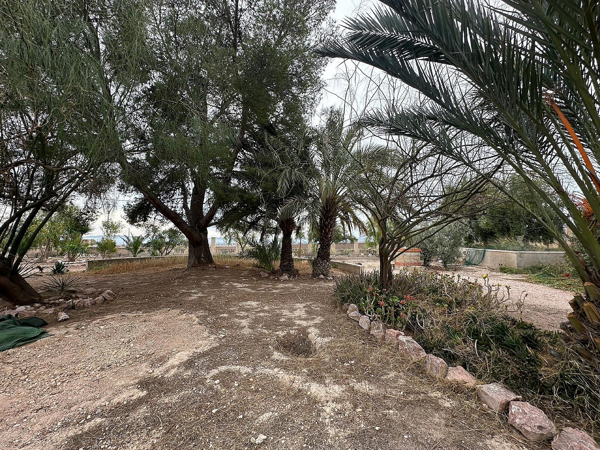 Resale - 9 Bedroom 4 Bathroom Country house in Novelda - - Alicante Resale - 9 Bedroom 4 Bathroom Country house in Novelda - - Alicante