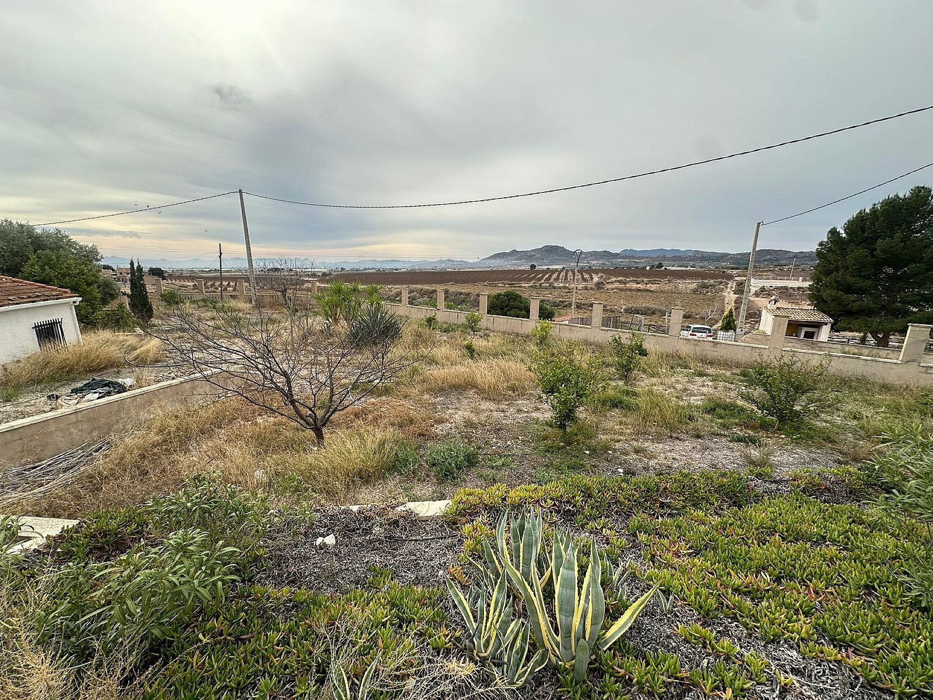 Resale - 9 Bedroom 4 Bathroom Country house in Novelda - - Alicante Resale - 9 Bedroom 4 Bathroom Country house in Novelda - - Alicante