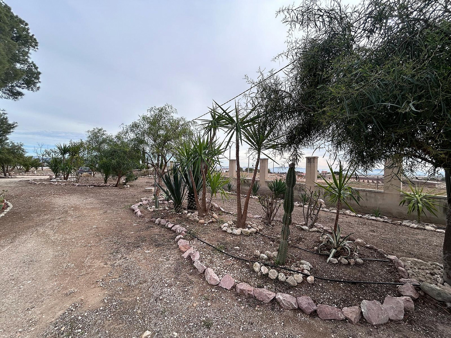 Resale - 9 Bedroom 4 Bathroom Country house in Novelda - - Alicante Resale - 9 Bedroom 4 Bathroom Country house in Novelda - - Alicante