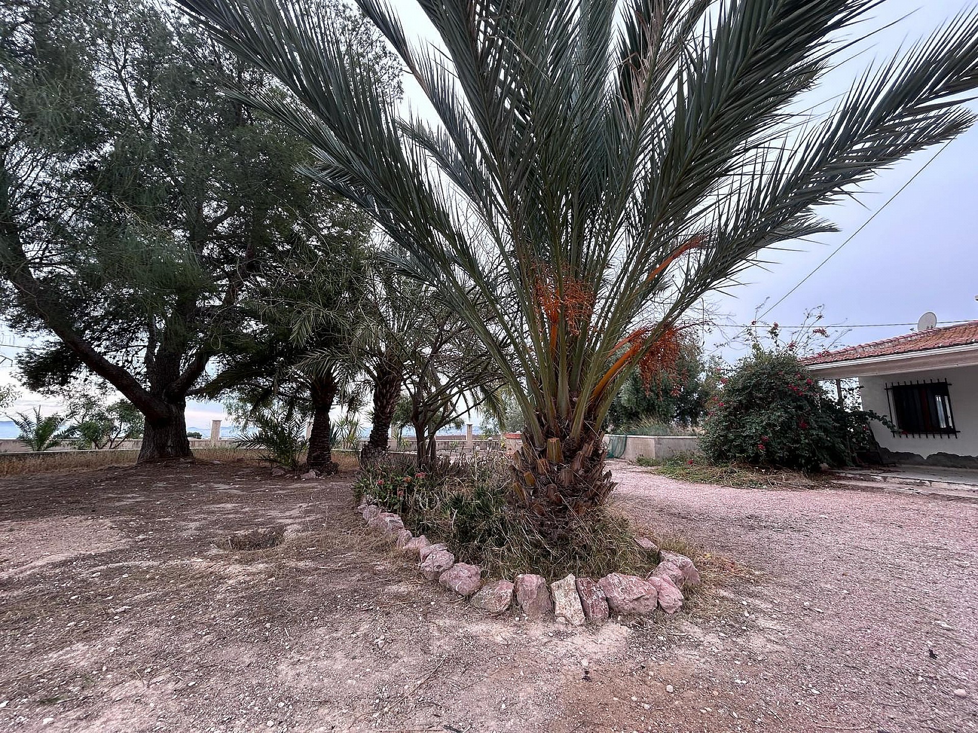 Resale - 9 Bedroom 4 Bathroom Country house in Novelda - - Alicante Resale - 9 Bedroom 4 Bathroom Country house in Novelda - - Alicante