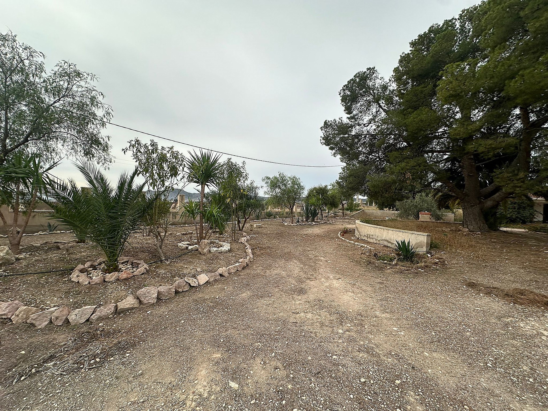 Resale - 9 Bedroom 4 Bathroom Country house in Novelda - - Alicante Resale - 9 Bedroom 4 Bathroom Country house in Novelda - - Alicante