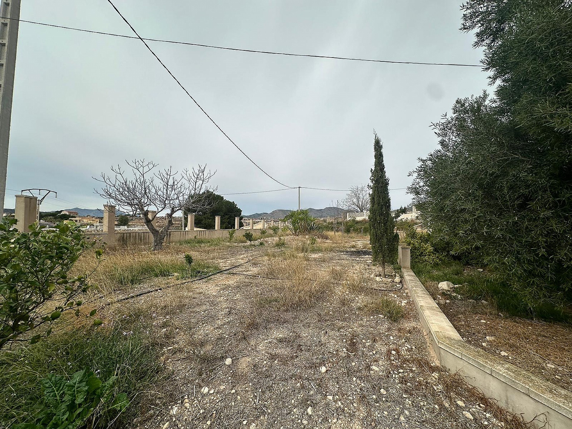 Resale - 9 Bedroom 4 Bathroom Country house in Novelda - - Alicante Resale - 9 Bedroom 4 Bathroom Country house in Novelda - - Alicante