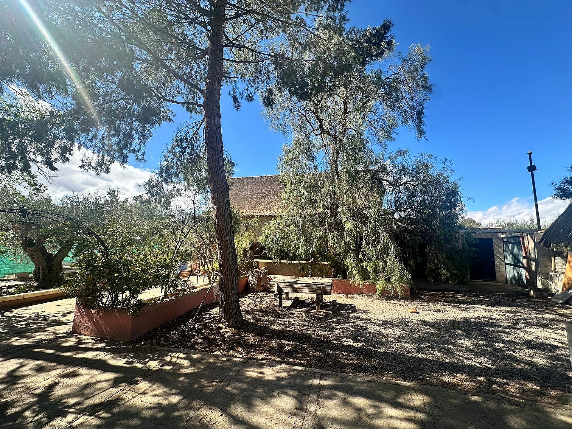 Resale - 3 Bedroom 1 Bathroom Country house in Jumilla - - Murcia Resale - 3 Bedroom 1 Bathroom Country house in Jumilla - - Murcia