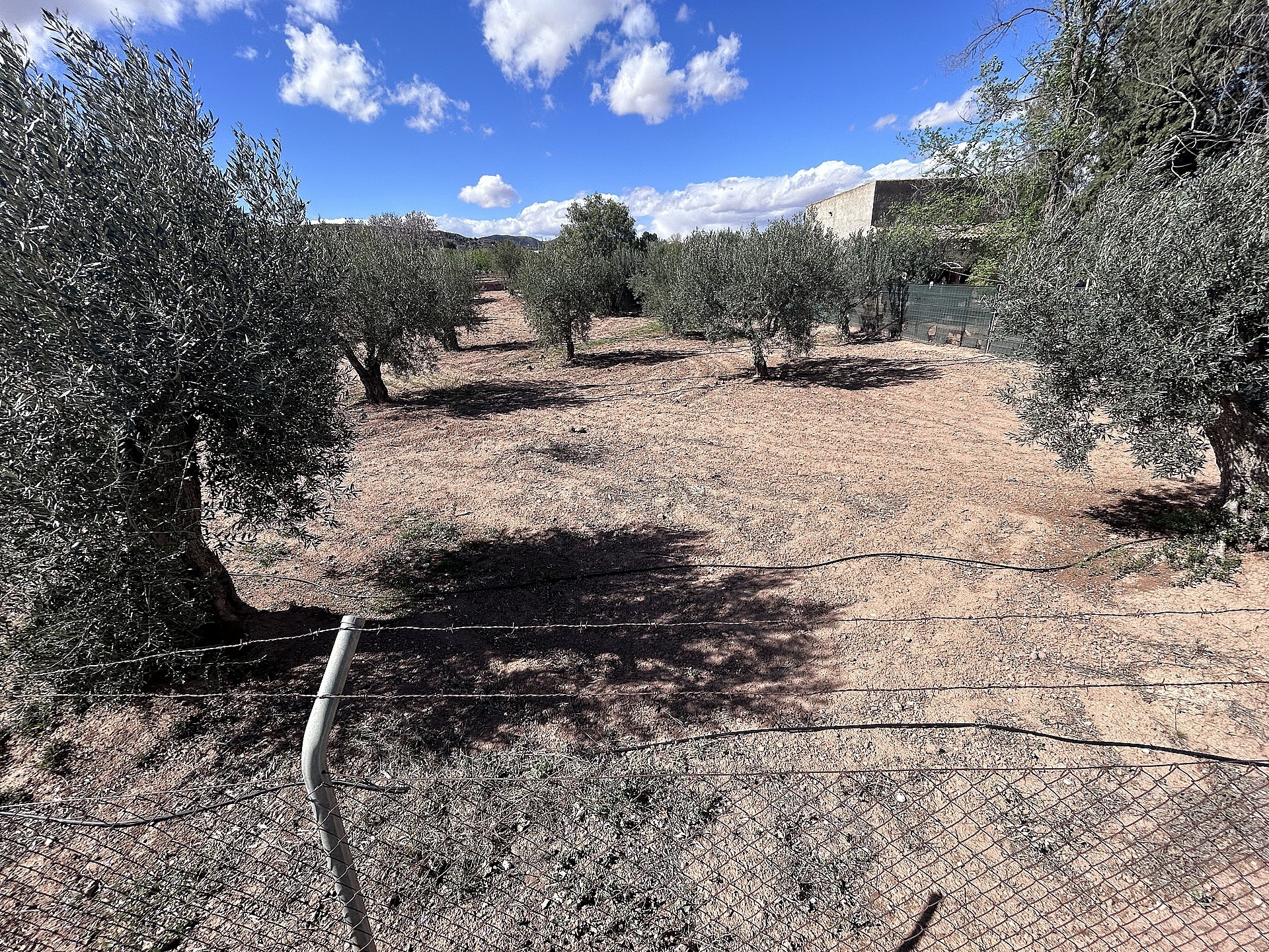 Resale - 3 Bedroom 1 Bathroom Country house in Jumilla - - Murcia Resale - 3 Bedroom 1 Bathroom Country house in Jumilla - - Murcia