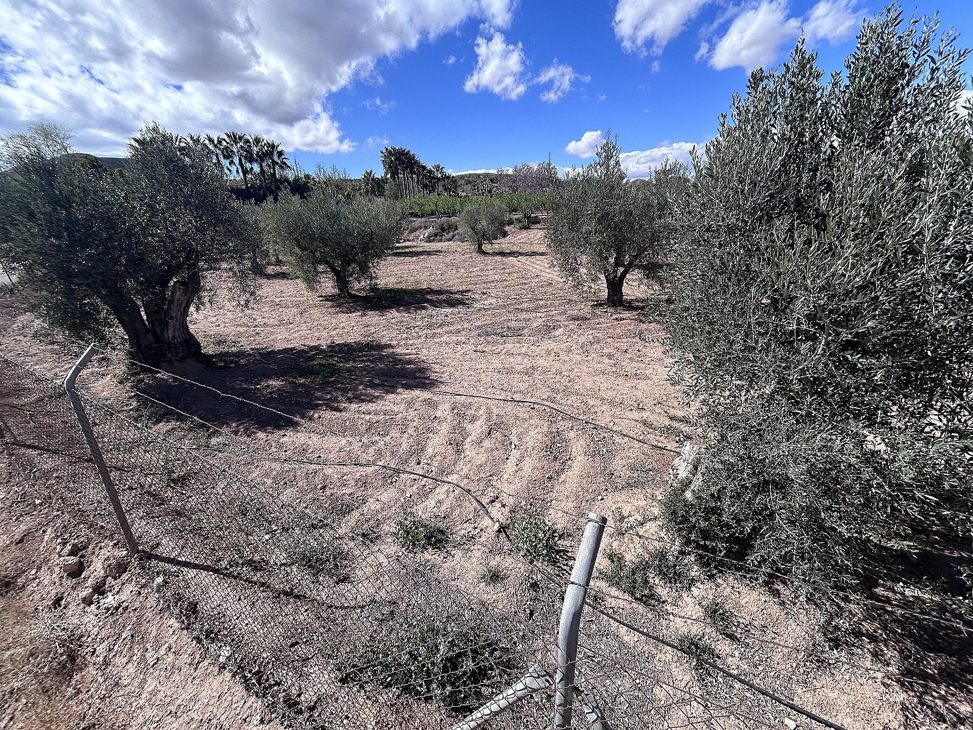 Resale - 3 Bedroom 1 Bathroom Country house in Jumilla - - Murcia Resale - 3 Bedroom 1 Bathroom Country house in Jumilla - - Murcia