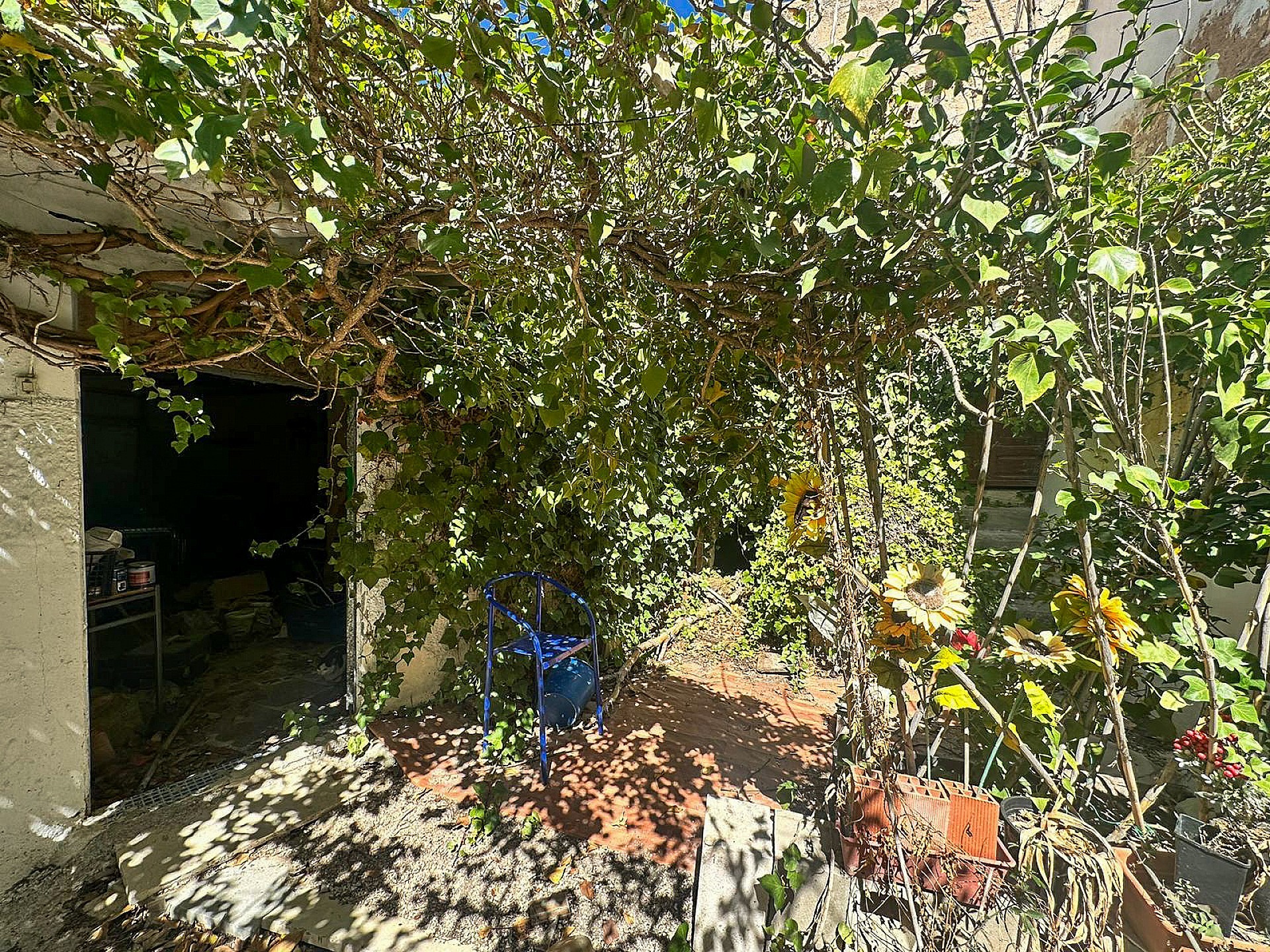 Sold - 8 Bedroom 2 Bathroom Country house in Yecla - - Murcia Sold - 8 Bedroom 2 Bathroom Country house in Yecla - - Murcia