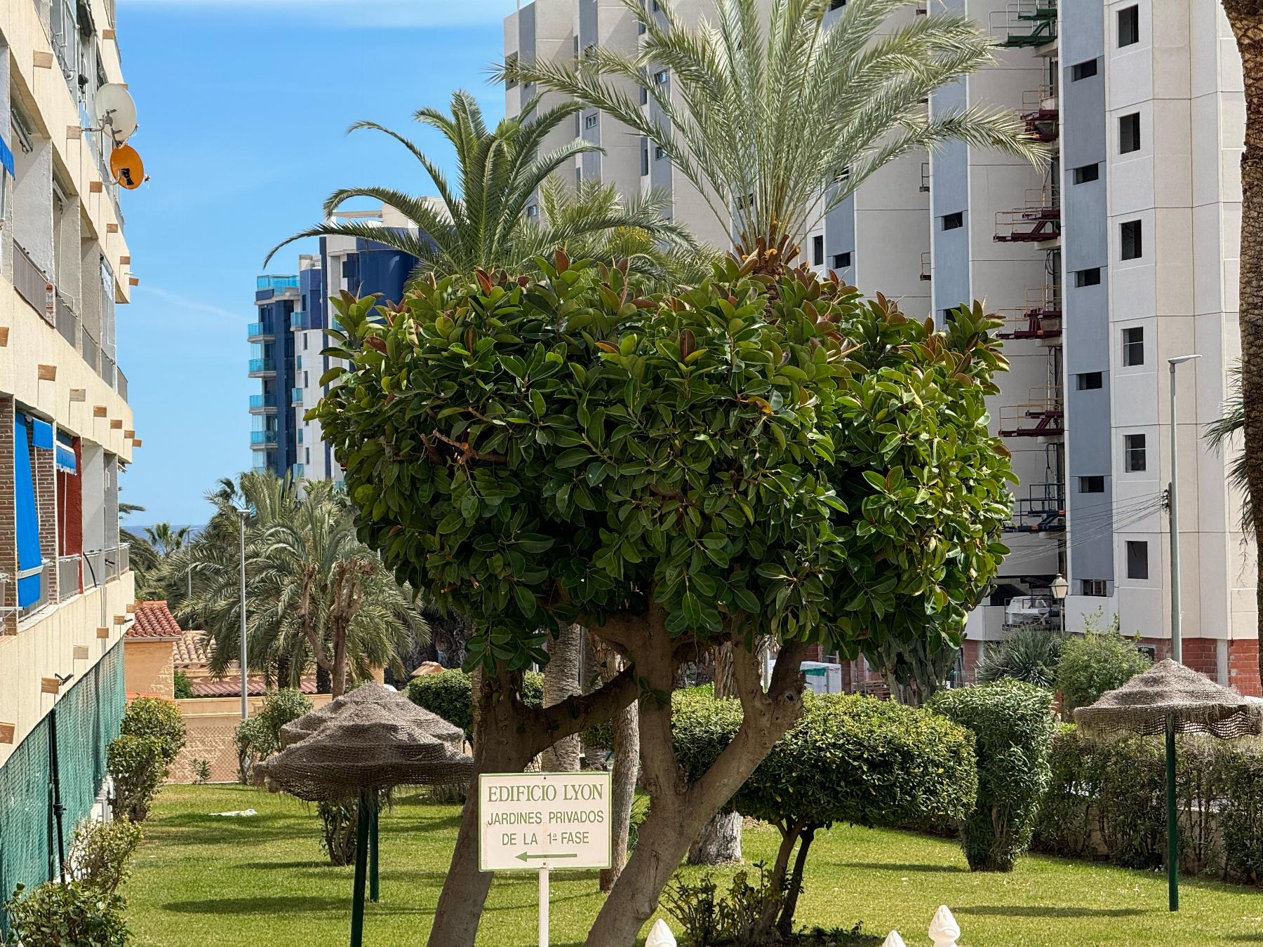 Sold - 1 Bedroom 1 Bathroom Apartamento in Torrevieja - Punta Prima - Alicante Sold - 1 Bedroom 1 Bathroom Apartamento in Torrevieja - Punta Prima - Alicante