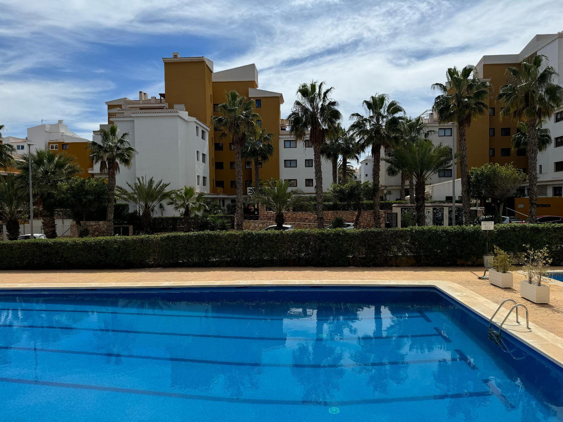 Sold - 1 Bedroom 1 Bathroom Apartamento in Torrevieja - Punta Prima - Alicante Sold - 1 Bedroom 1 Bathroom Apartamento in Torrevieja - Punta Prima - Alicante