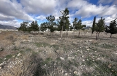 3-11501/2901, Land in Salinas