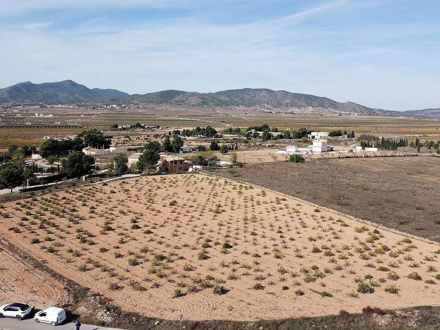 Land in Pinoso