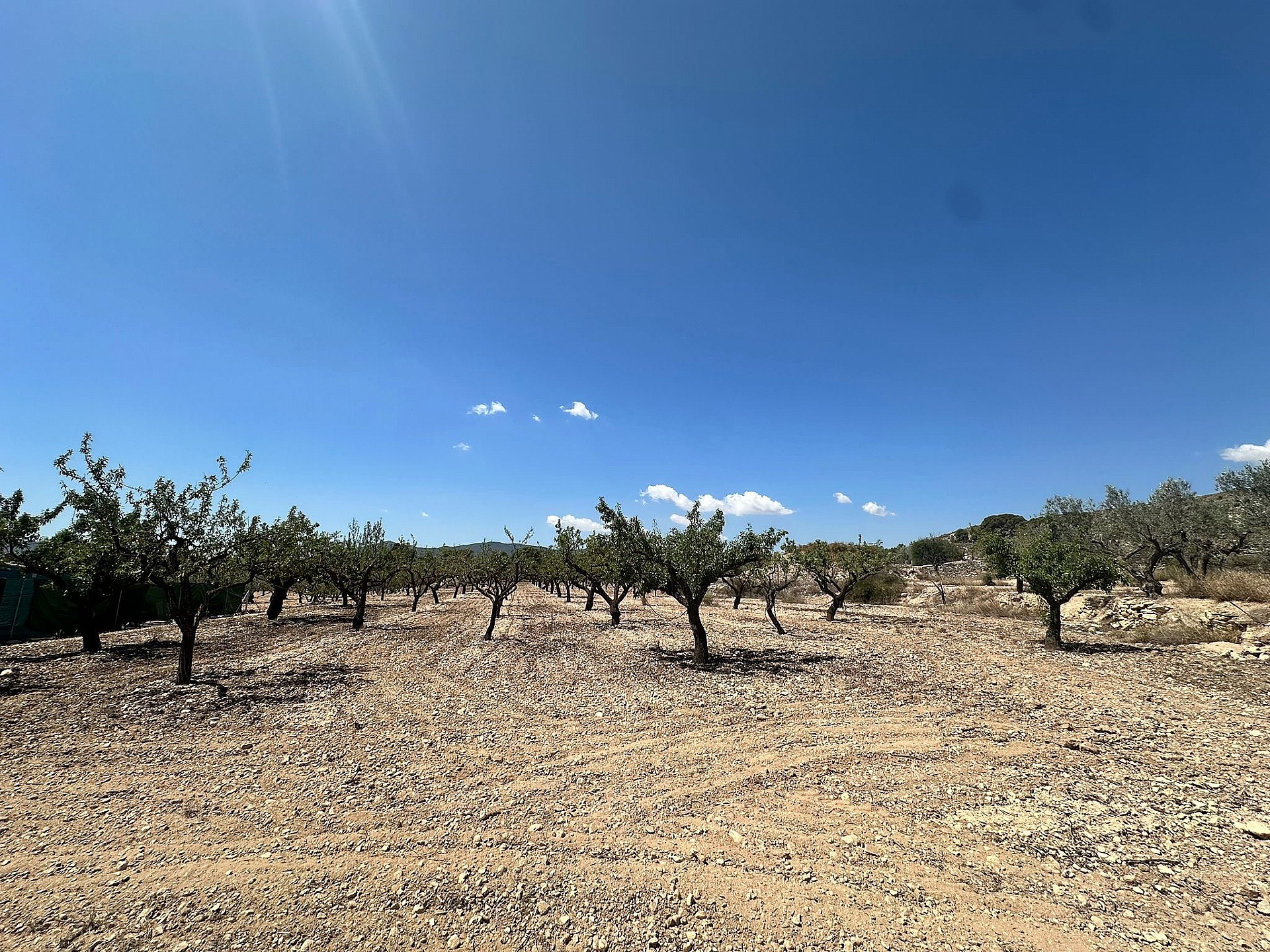 Resale - 1 Bedroom 1 Bathroom Country house in Monovar - - Alicante Resale - 1 Bedroom 1 Bathroom Country house in Monovar - - Alicante