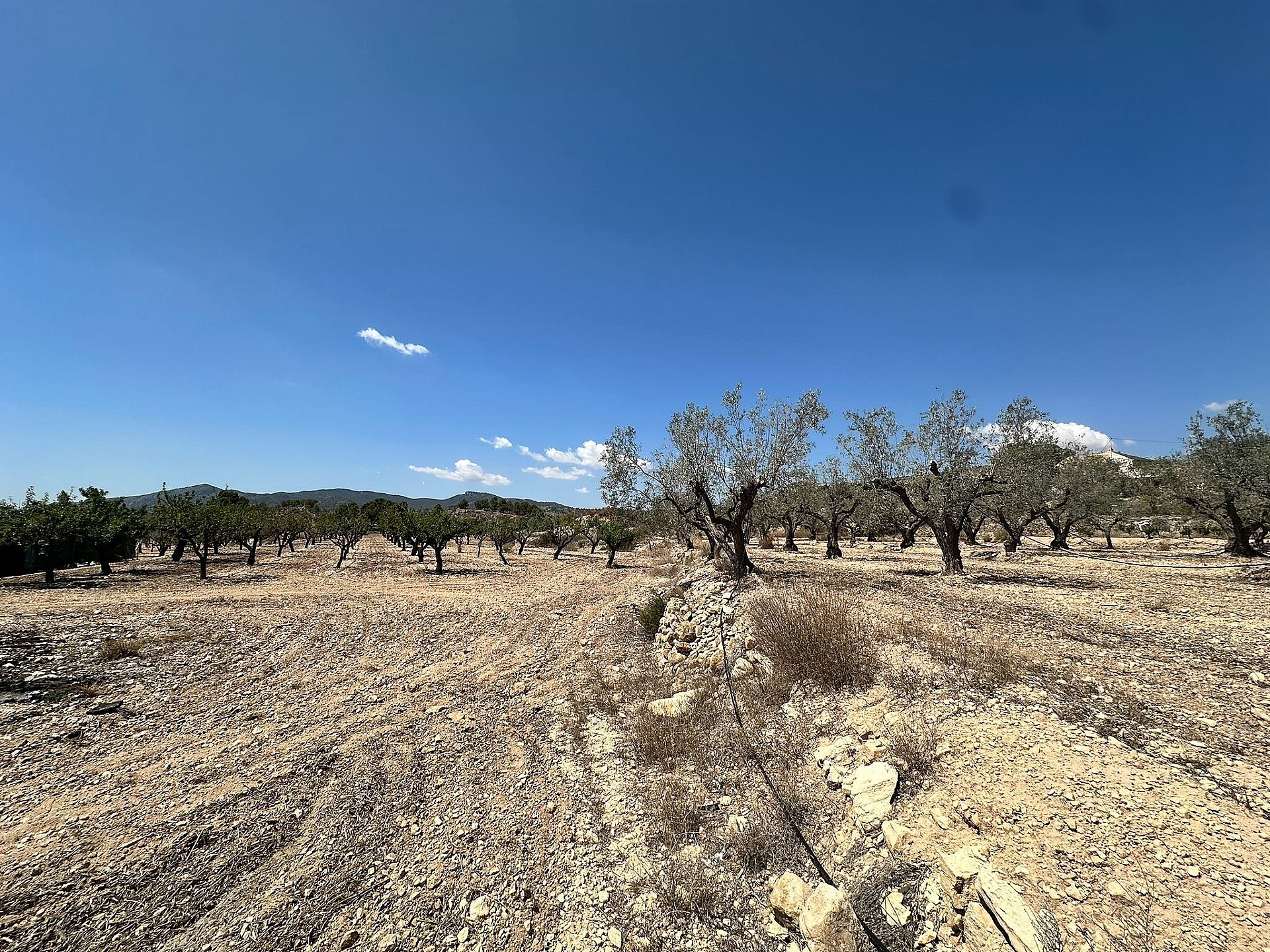 Resale - 1 Bedroom 1 Bathroom Country house in Monovar - - Alicante Resale - 1 Bedroom 1 Bathroom Country house in Monovar - - Alicante