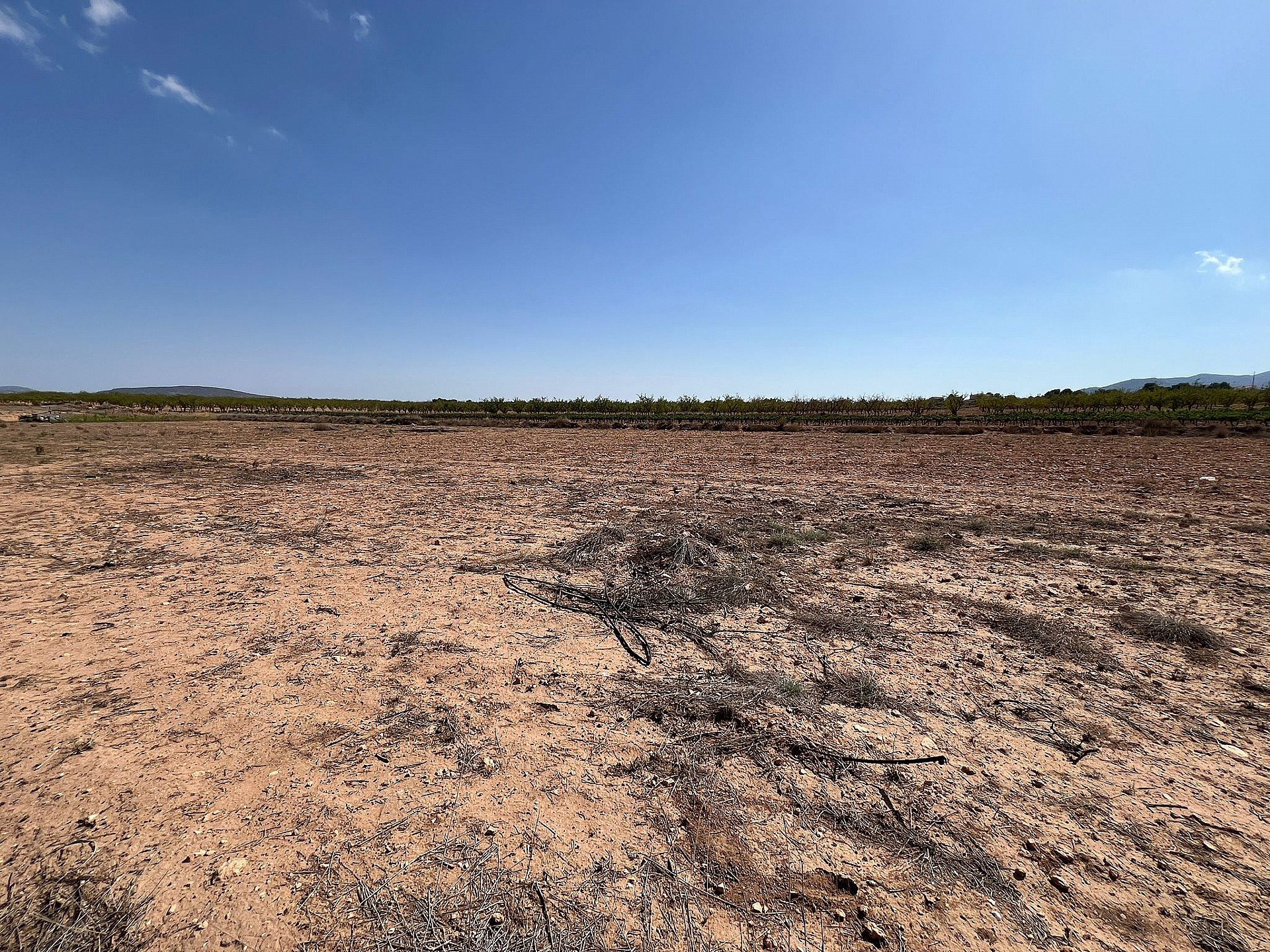 Resale - Land in Pinoso - - Alicante Resale - Land in Pinoso - - Alicante