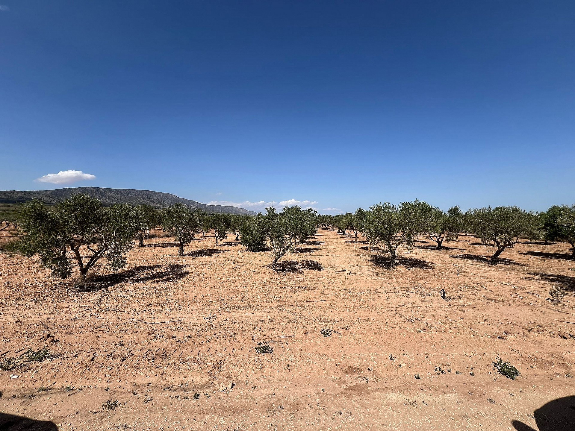 Resale - Land in Pinoso - - Alicante Resale - Land in Pinoso - - Alicante