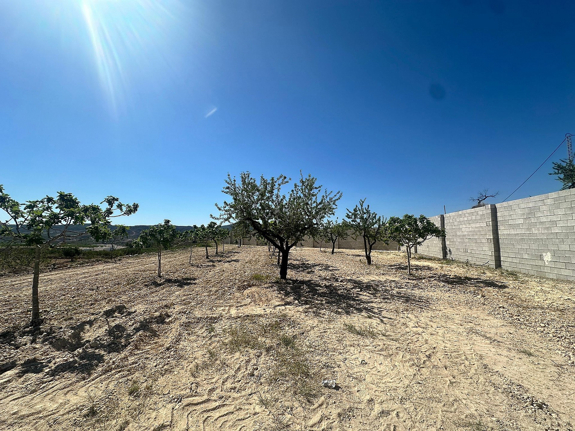 Sold - Land in Macisvenda - - Murcia Sold - Land in Macisvenda - - Murcia