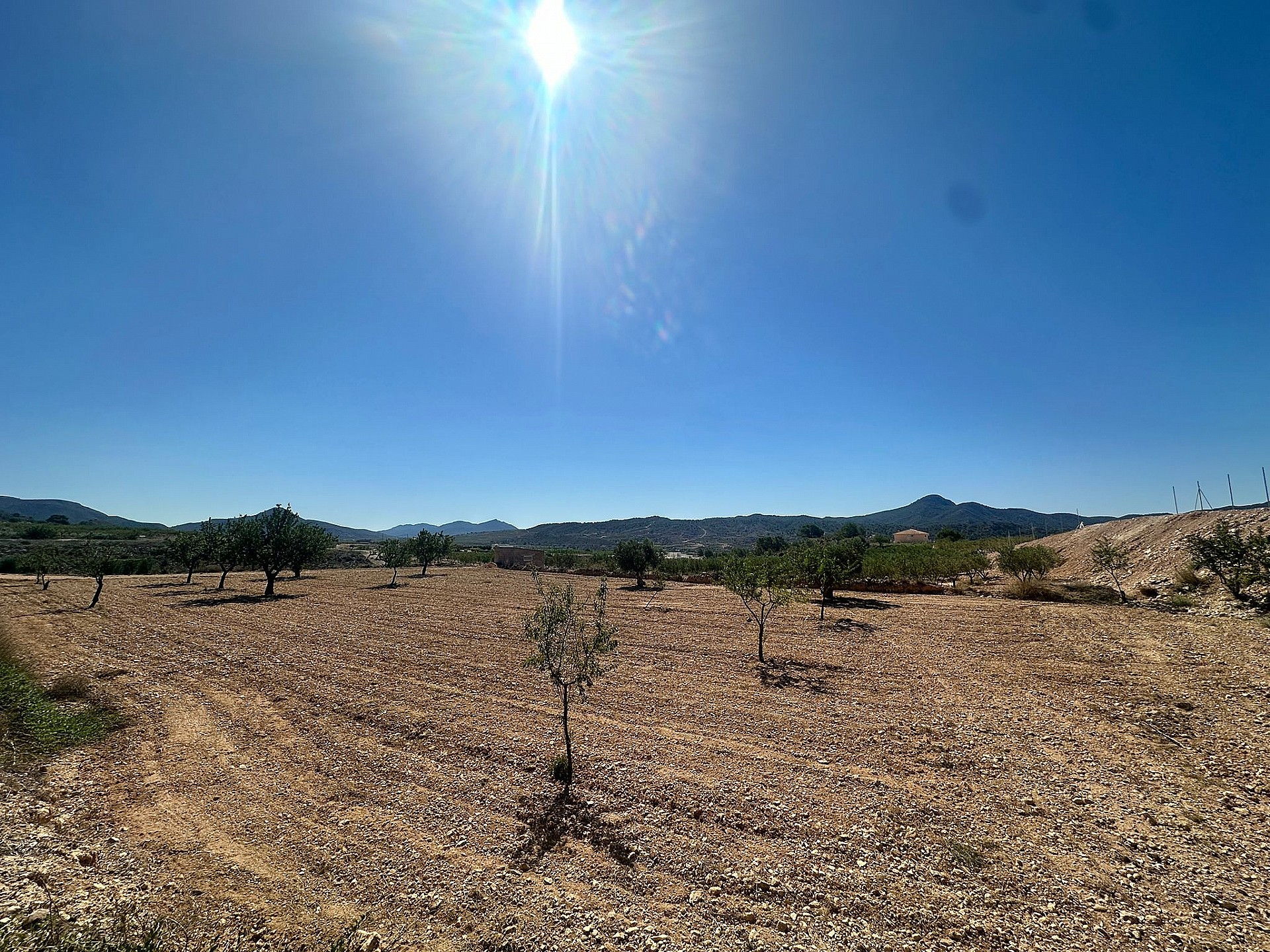 Sold - Land in Macisvenda - - Murcia Sold - Land in Macisvenda - - Murcia