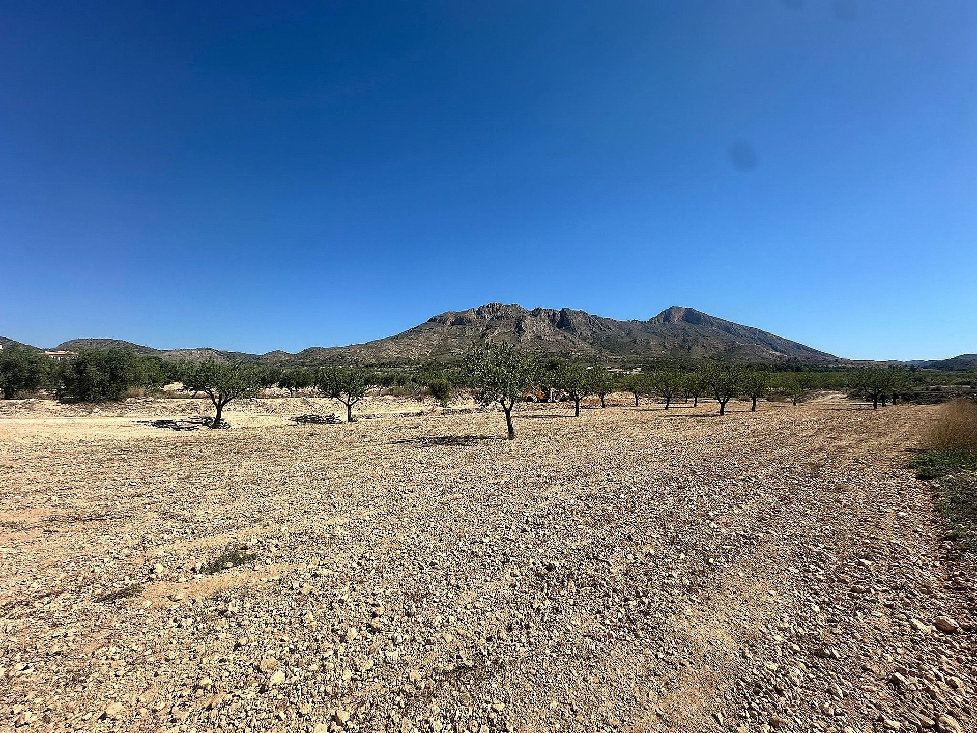 Sold - Land in Macisvenda - - Murcia Sold - Land in Macisvenda - - Murcia