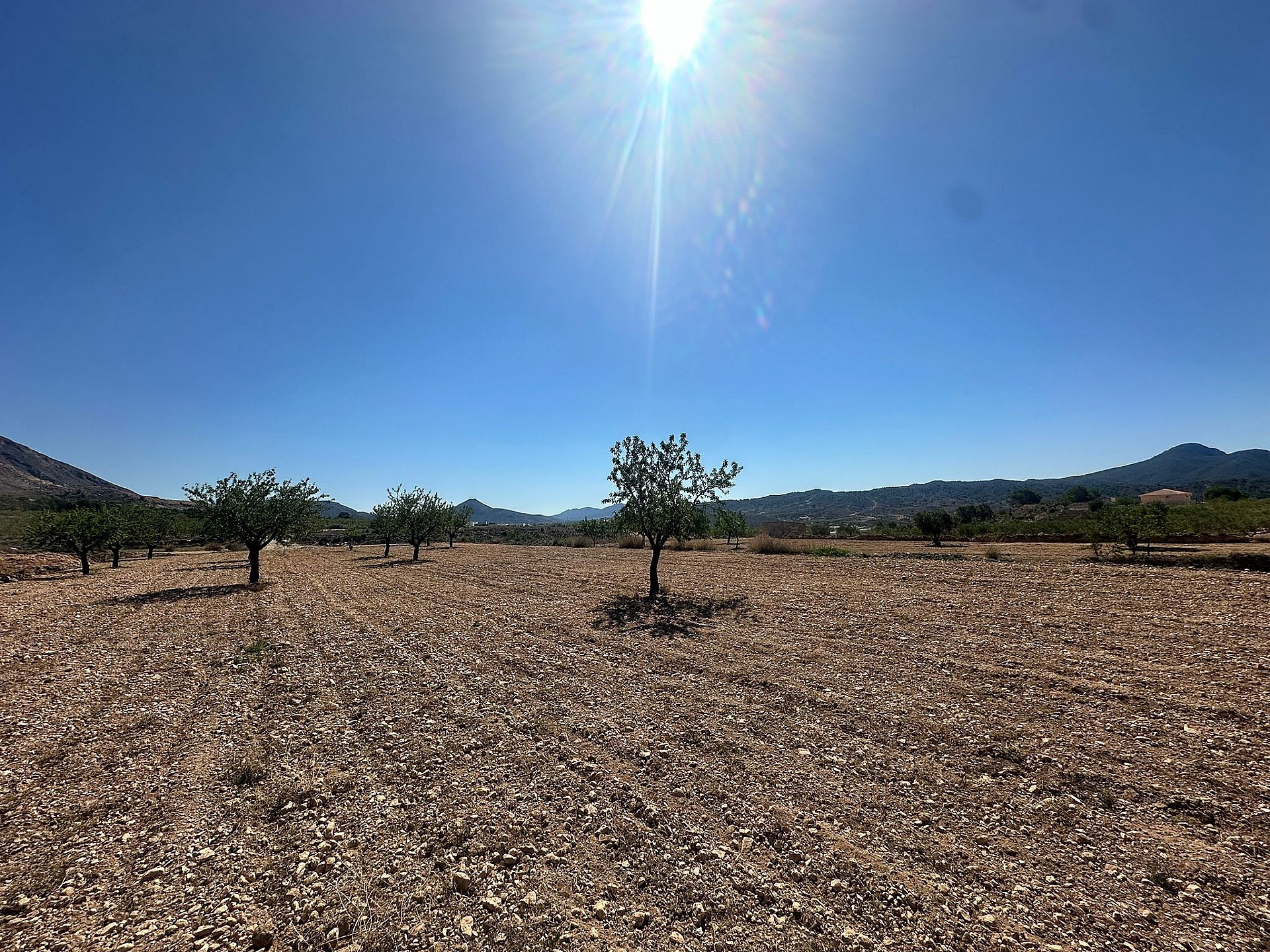 Sold - Land in Macisvenda - - Murcia Sold - Land in Macisvenda - - Murcia