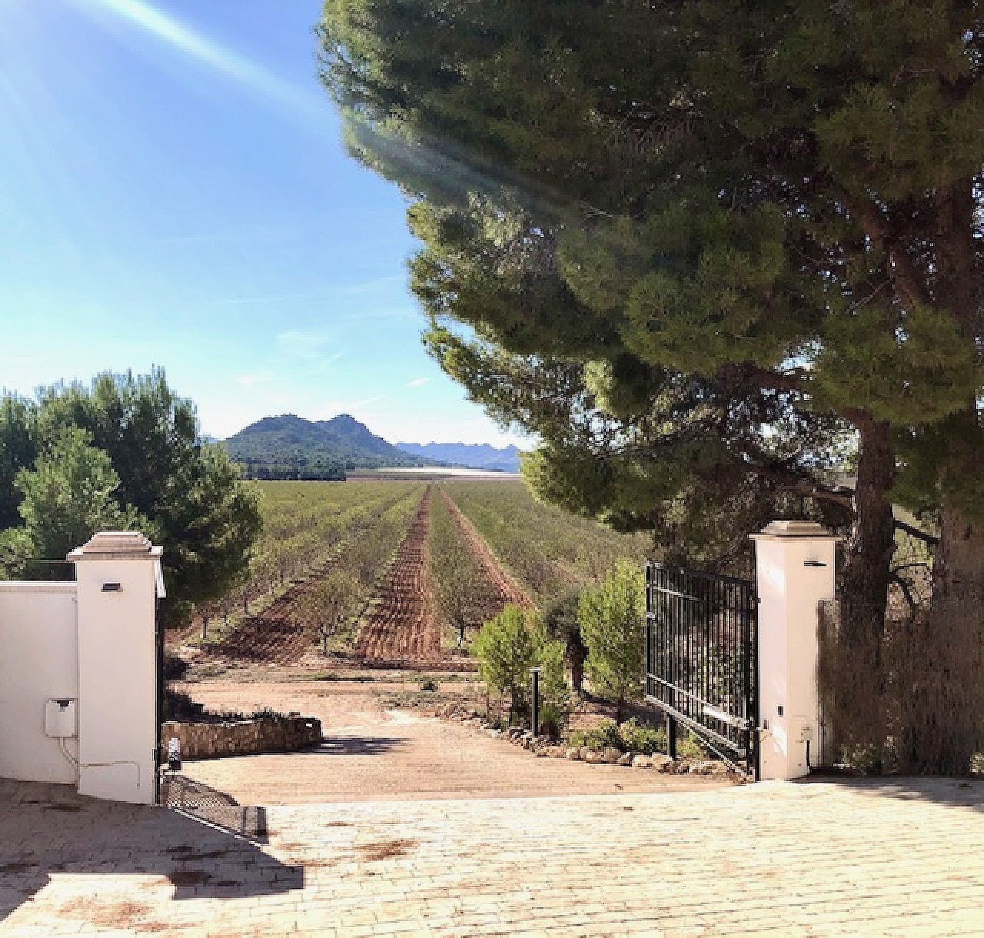 Resale - 4 Bedroom 4 Bathroom Villa in Villena - - Alicante Resale - 4 Bedroom 4 Bathroom Villa in Villena - - Alicante