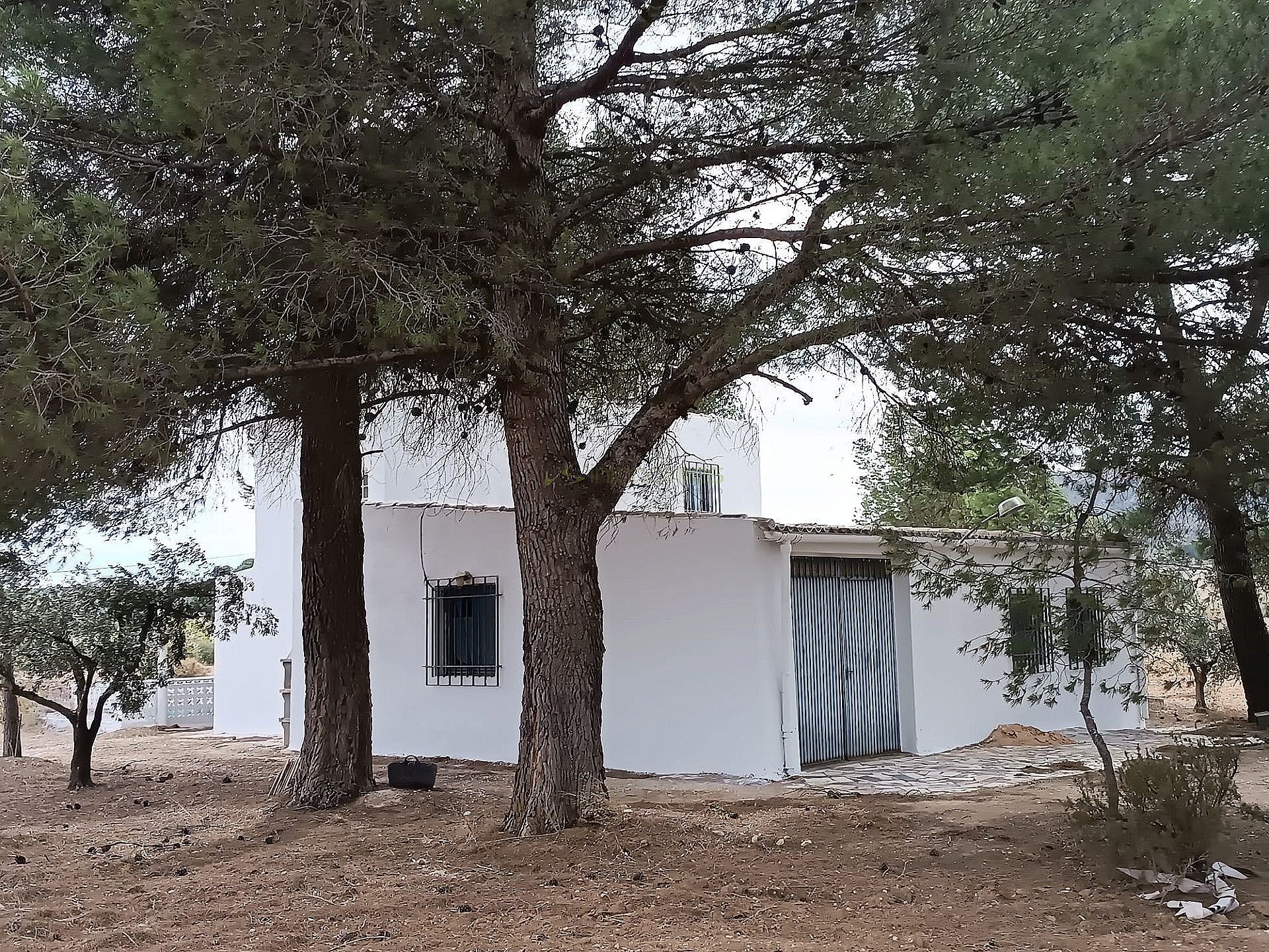 Sold - 5 Bedroom 2 Bathroom Country house in Yecla - - Murcia Sold - 5 Bedroom 2 Bathroom Country house in Yecla - - Murcia