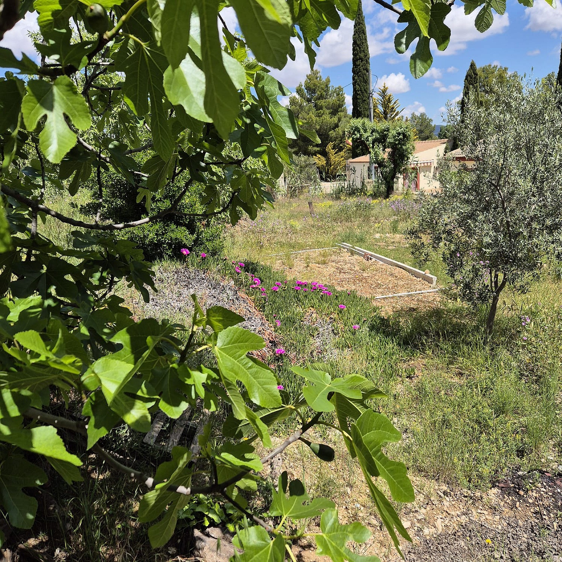 Sold - 3 Bedroom 1 Bathroom Country house in Yecla - - Murcia Sold - 3 Bedroom 1 Bathroom Country house in Yecla - - Murcia