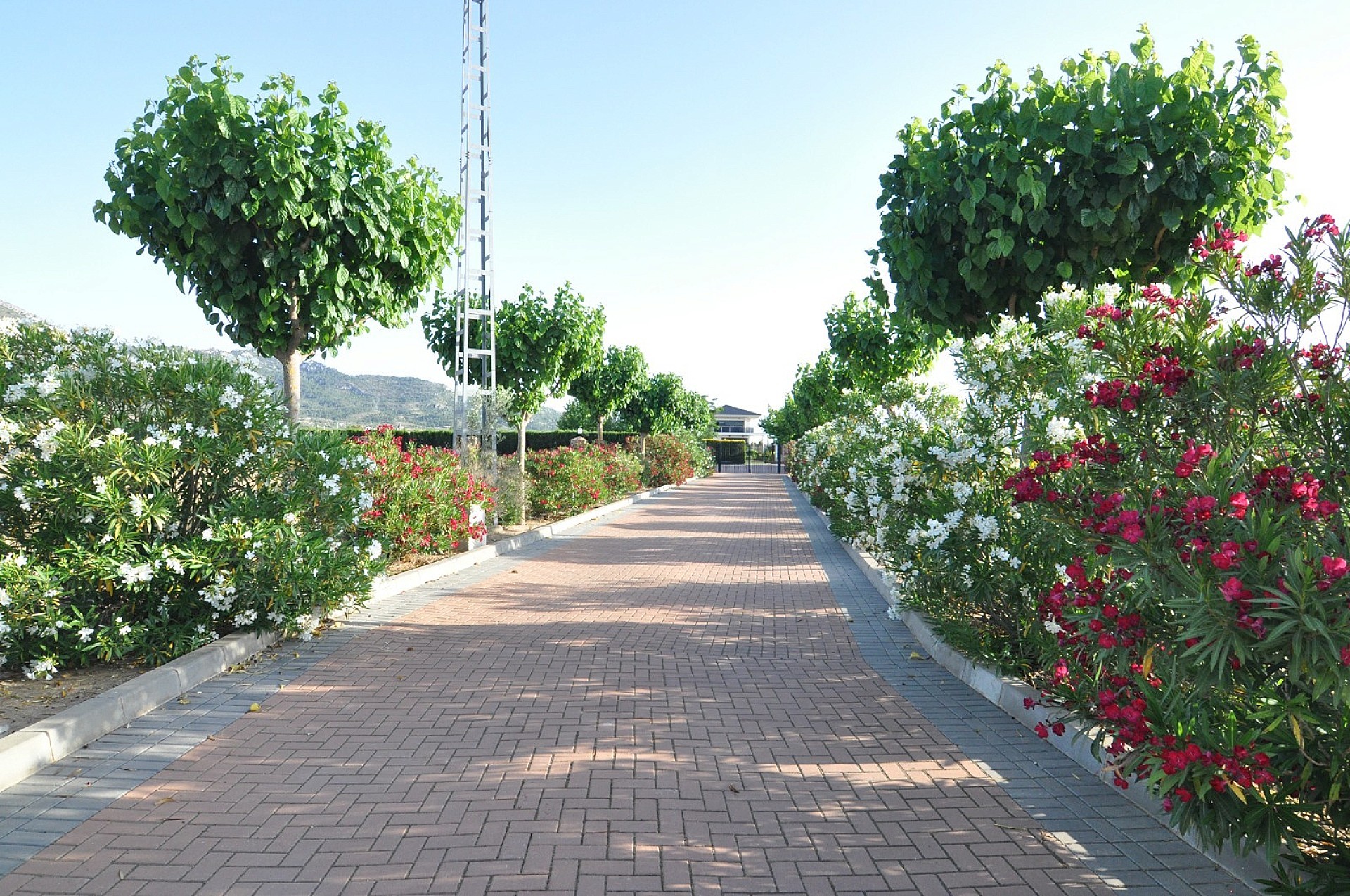 Resale - 4 Bedroom 2 Bathroom Villa in Villena - - Alicante Resale - 4 Bedroom 2 Bathroom Villa in Villena - - Alicante