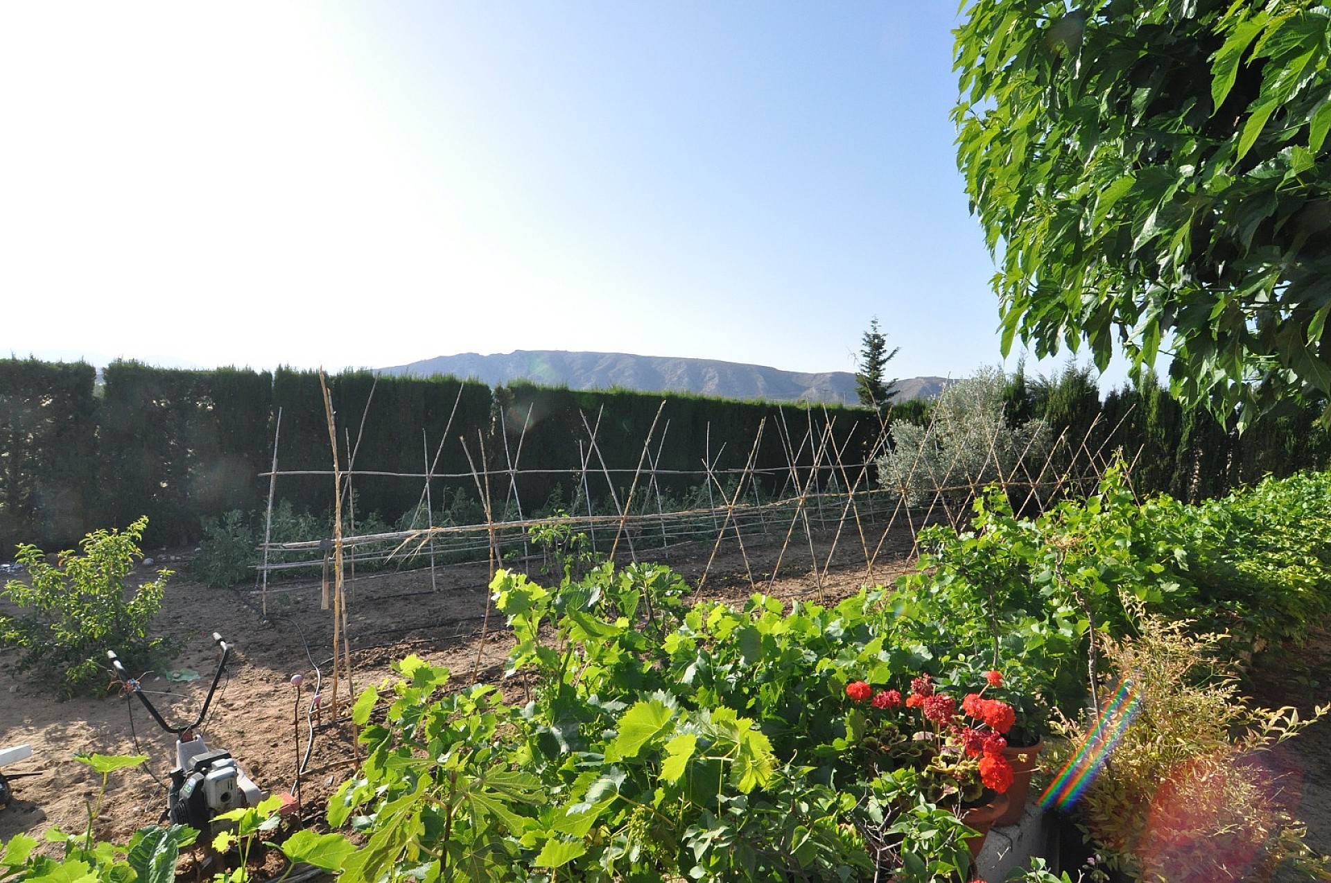 Resale - 4 Bedroom 2 Bathroom Villa in Villena - - Alicante Resale - 4 Bedroom 2 Bathroom Villa in Villena - - Alicante