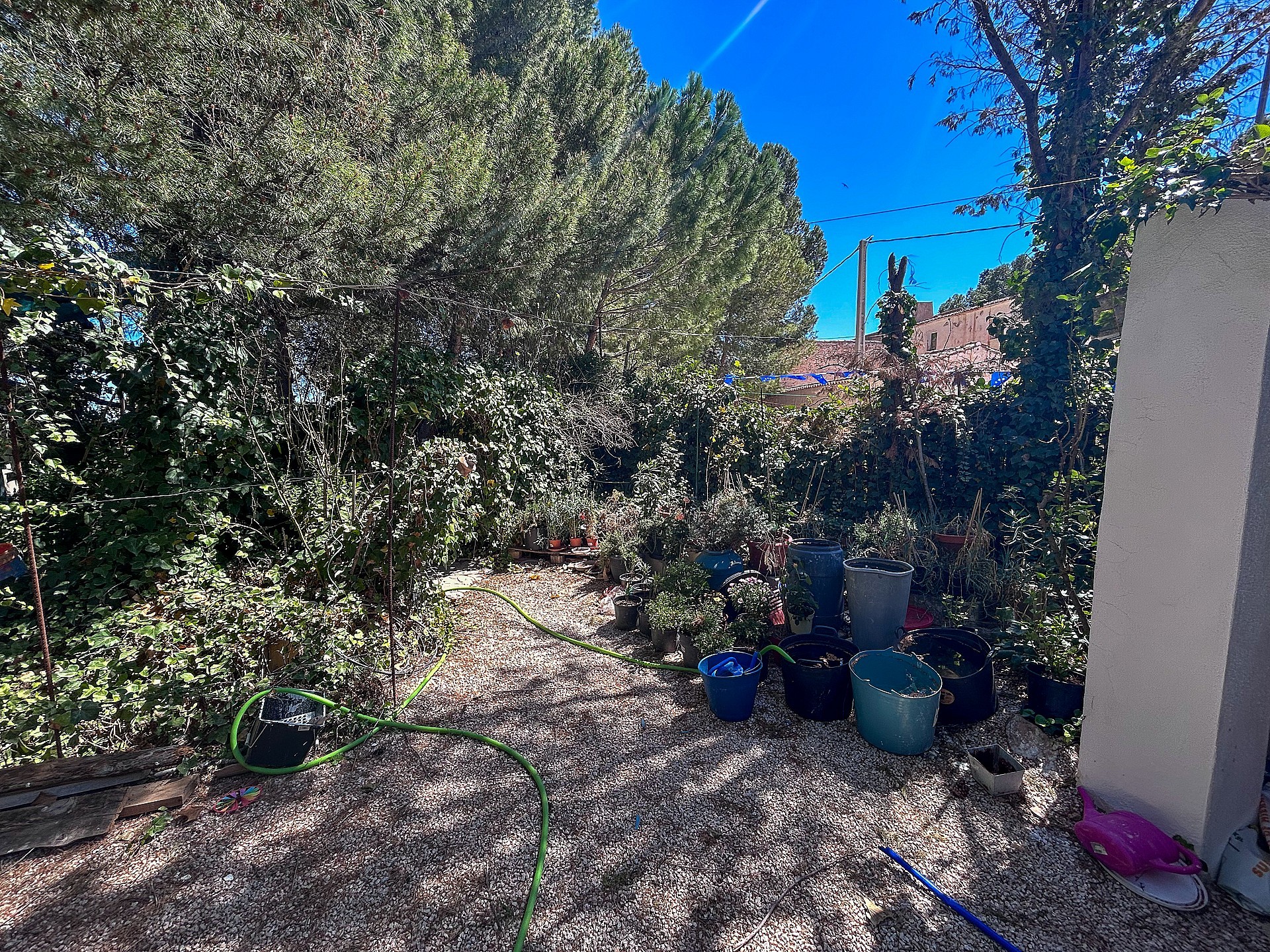 Sold - 8 Bedroom 2 Bathroom Country house in Yecla - - Murcia Sold - 8 Bedroom 2 Bathroom Country house in Yecla - - Murcia