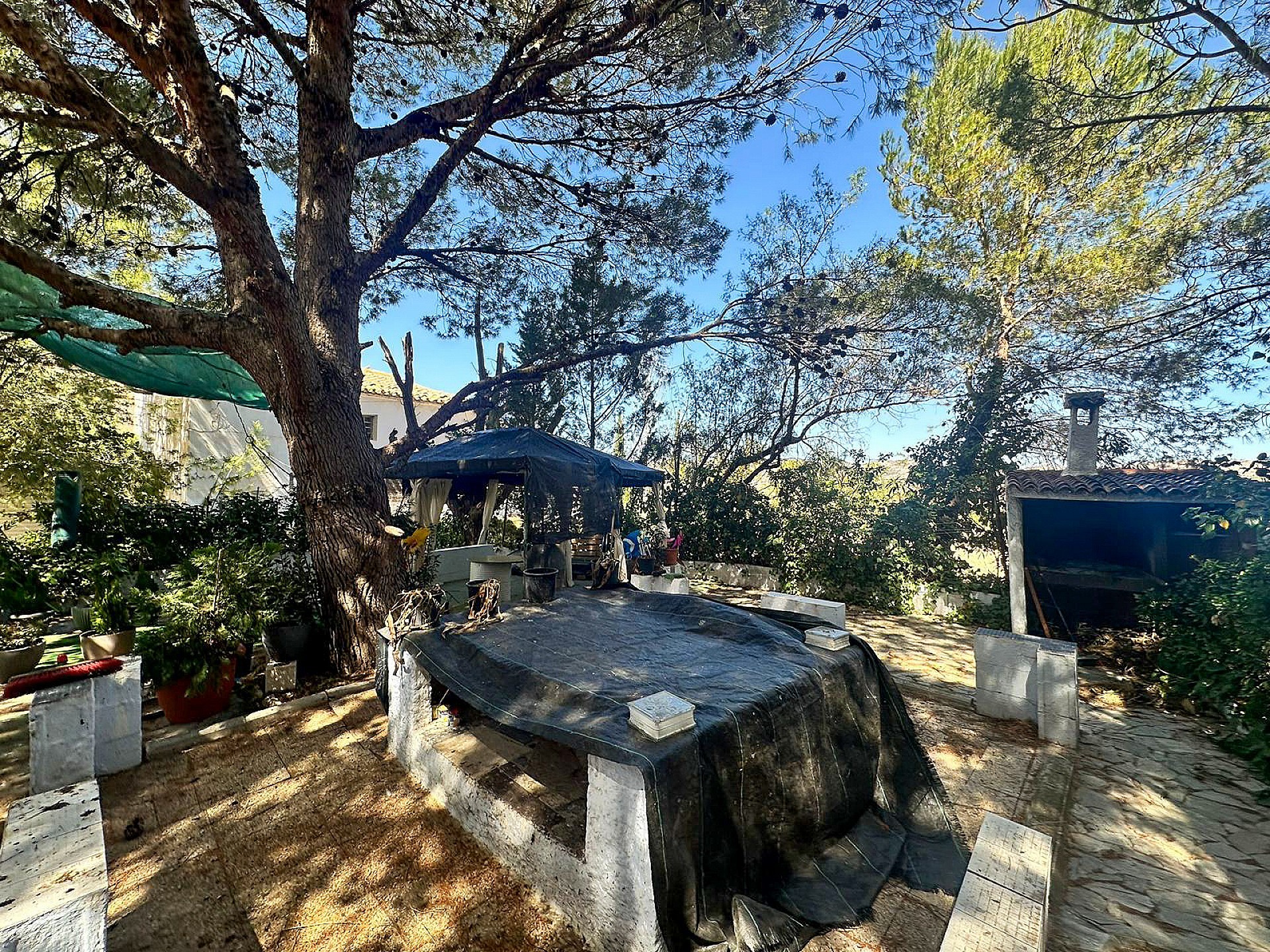 Sold - 8 Bedroom 2 Bathroom Country house in Yecla - - Murcia Sold - 8 Bedroom 2 Bathroom Country house in Yecla - - Murcia